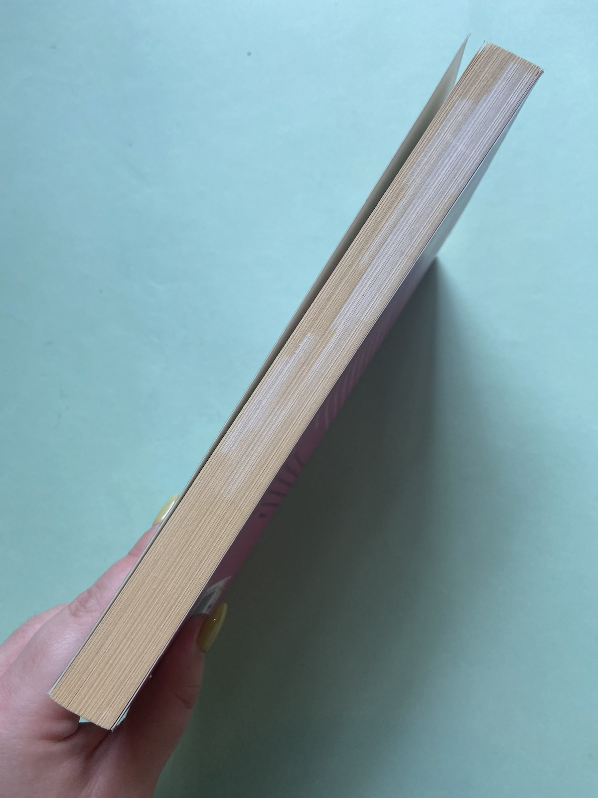 Screenshot 2026-01-26 at 6.06.46 pm.png