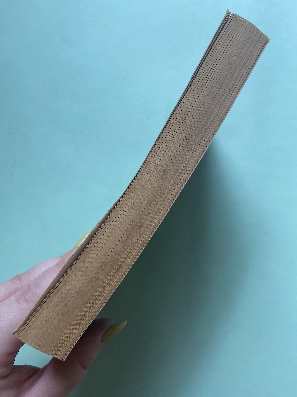 Screenshot 2026-01-26 at 1.49.18 pm.png