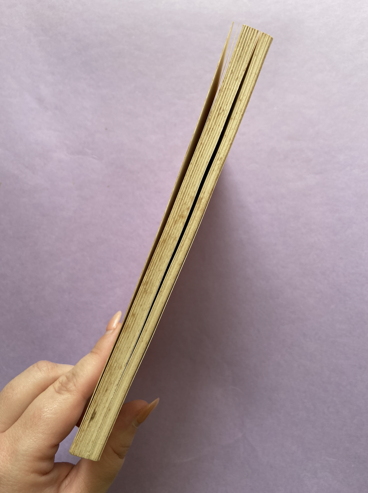 Screenshot 2026-01-25 at 2.43.26 pm.png