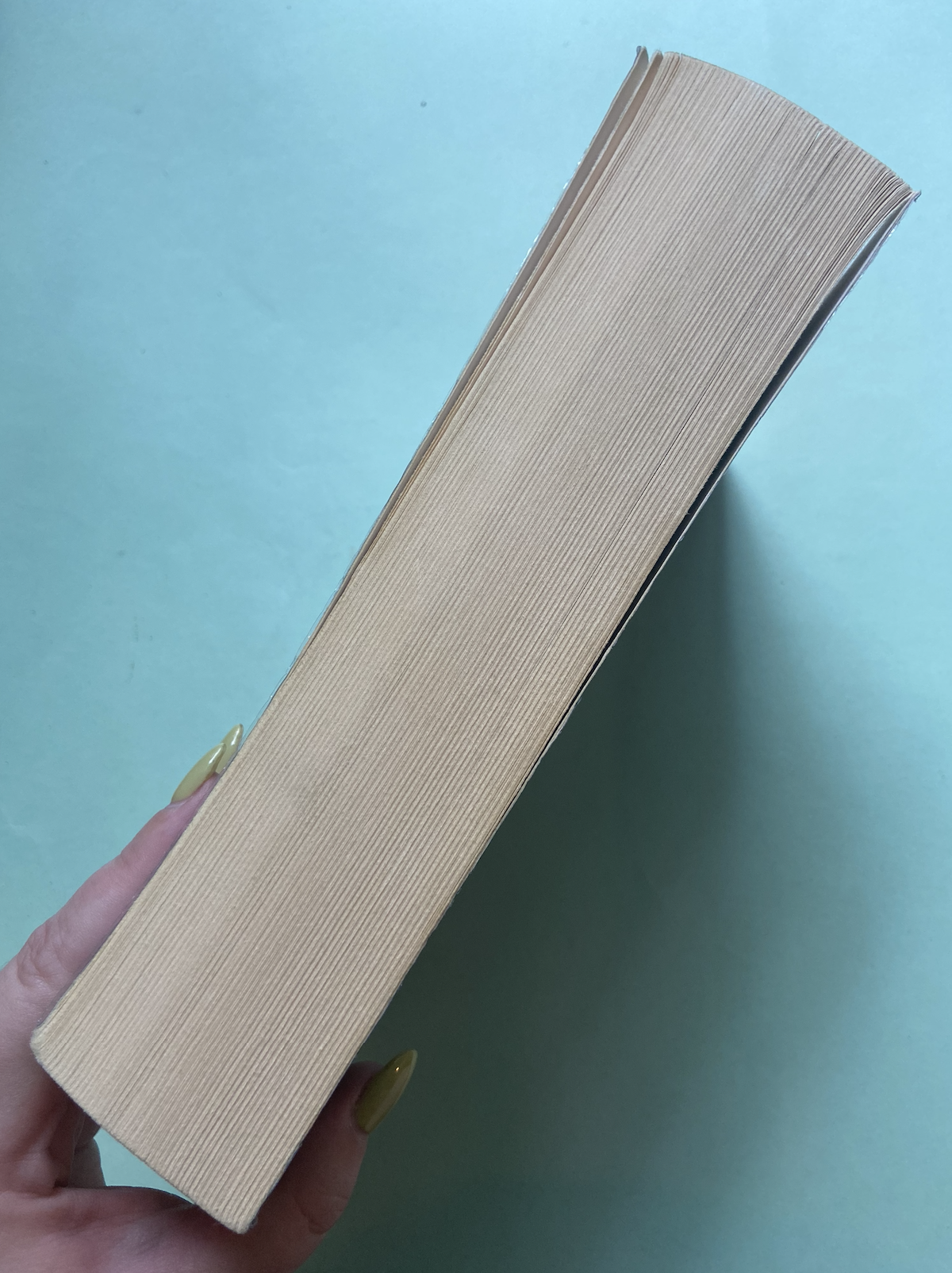 Screenshot 2026-01-26 at 5.19.34 pm.png