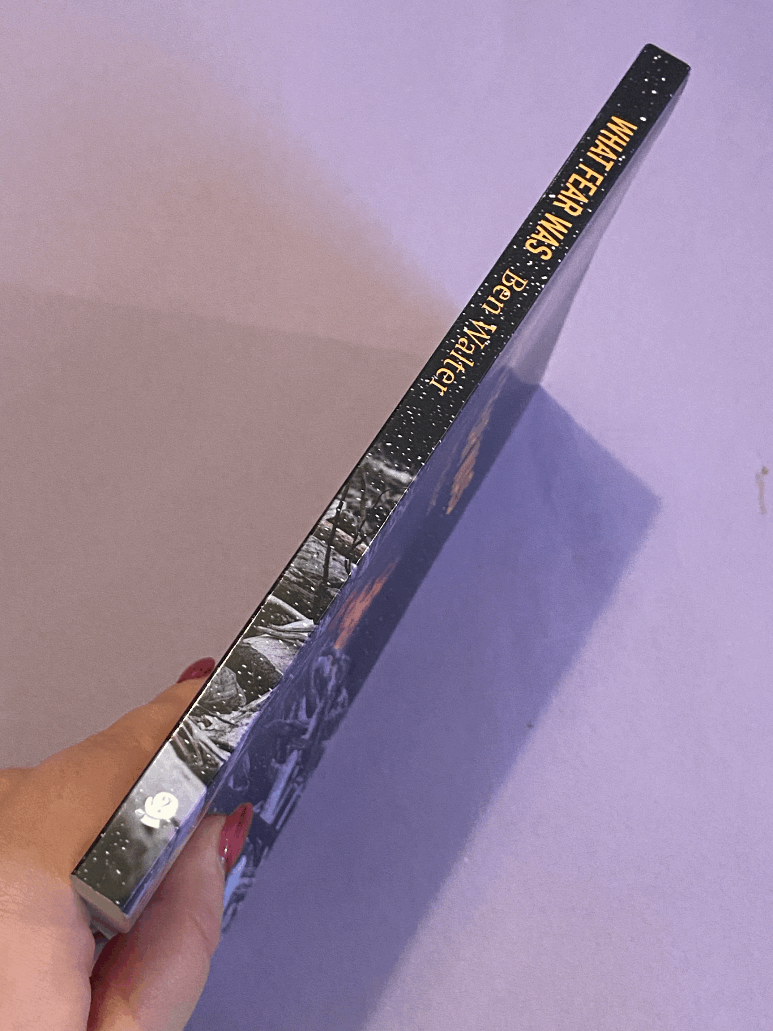 tempImagee474pG.gif