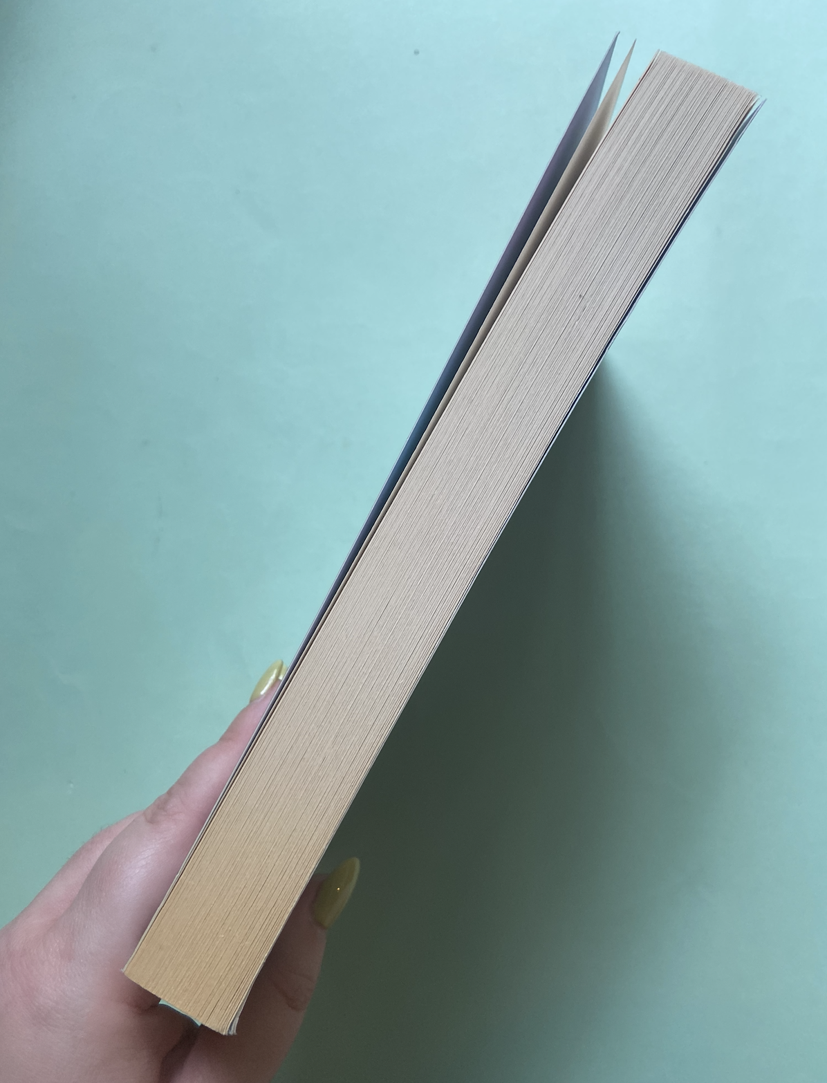 Screenshot 2026-01-26 at 5.45.42 pm.png