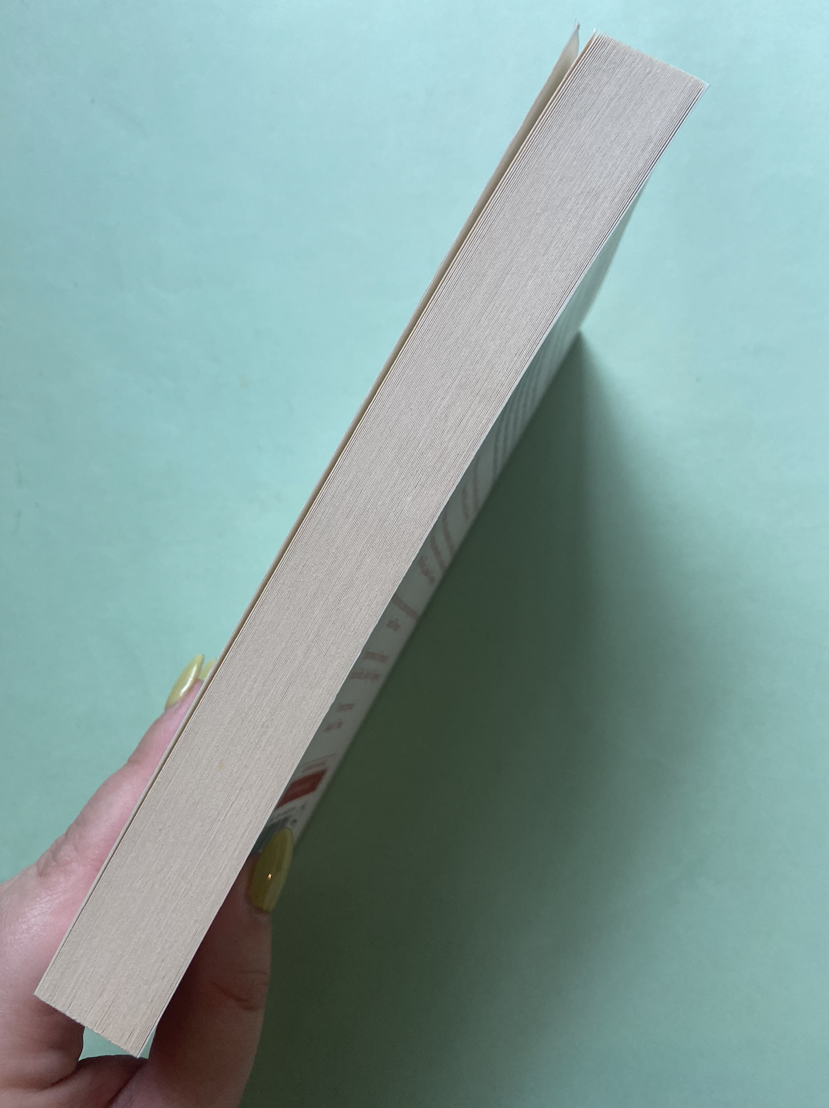 Screenshot 2026-01-26 at 5.35.17 pm.png