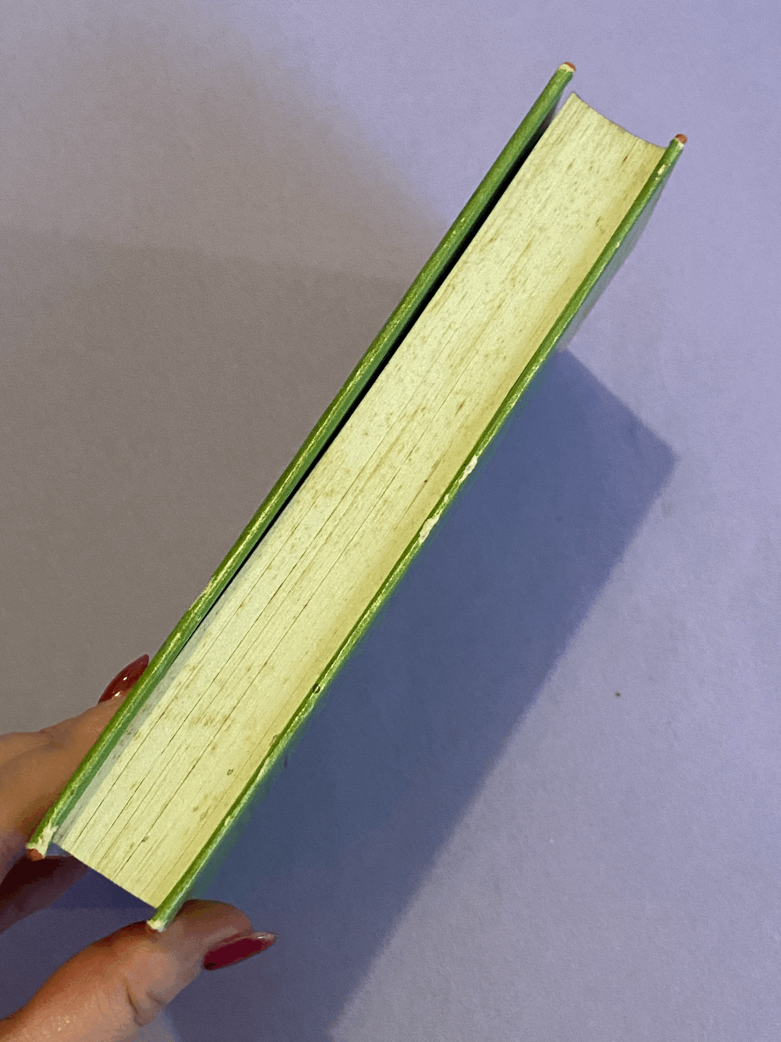 tempImageY8Au0E.gif