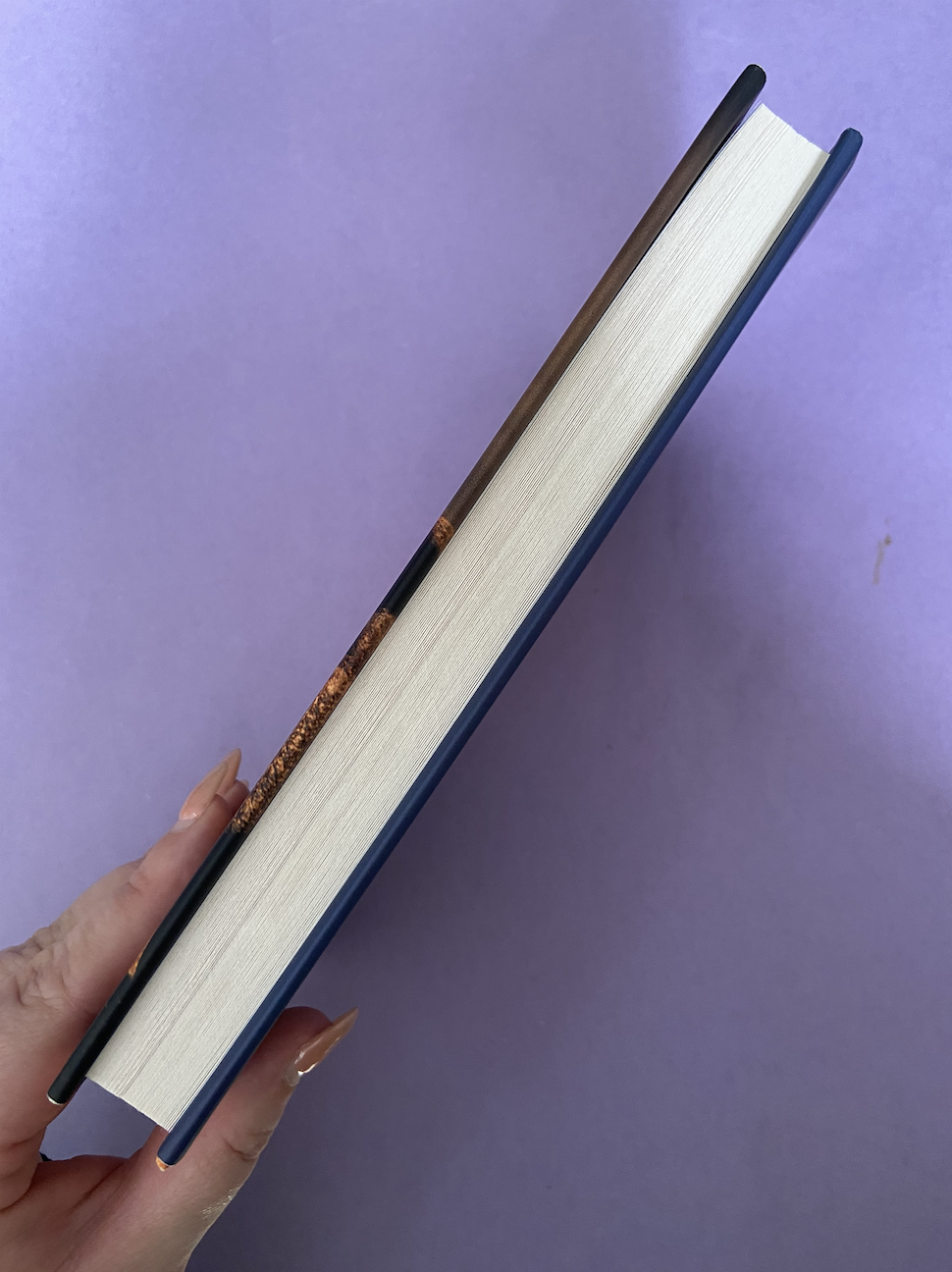 Screenshot 2025-12-28 at 4.21.26 pm.png