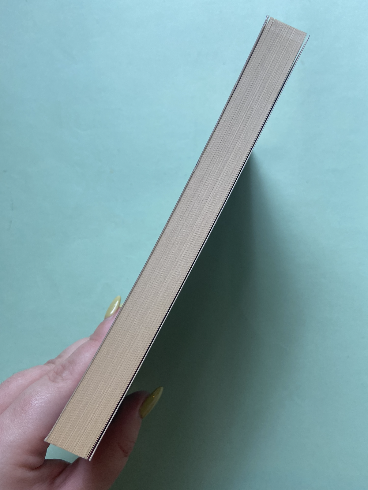 Screenshot 2026-01-26 at 5.13.40 pm.png