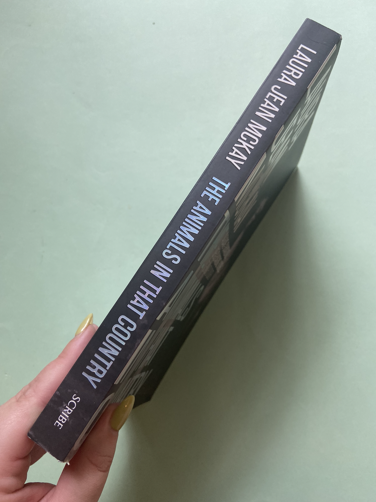 Screenshot 2026-01-26 at 5.45.24 pm.png