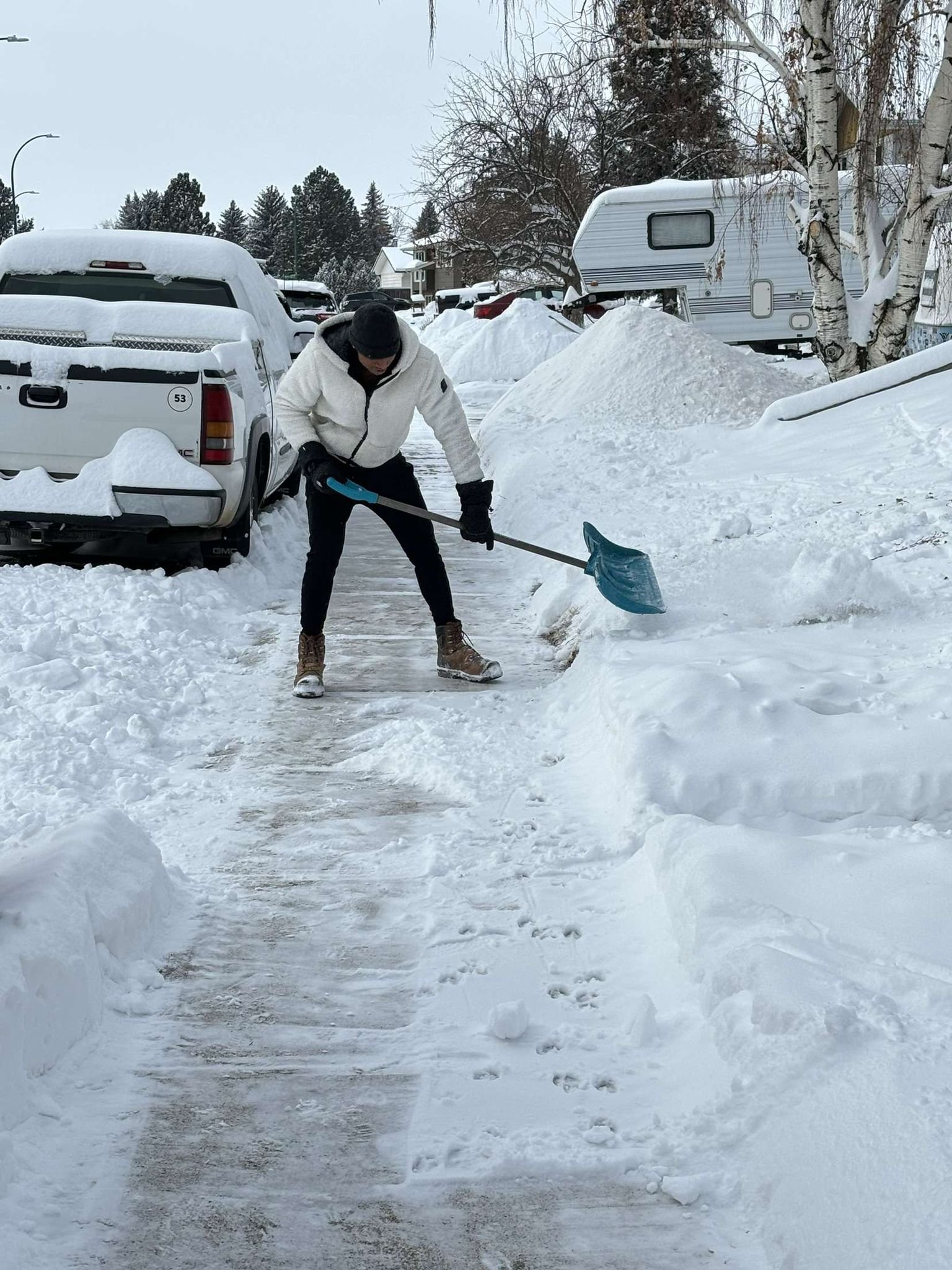 snow 4.jpg