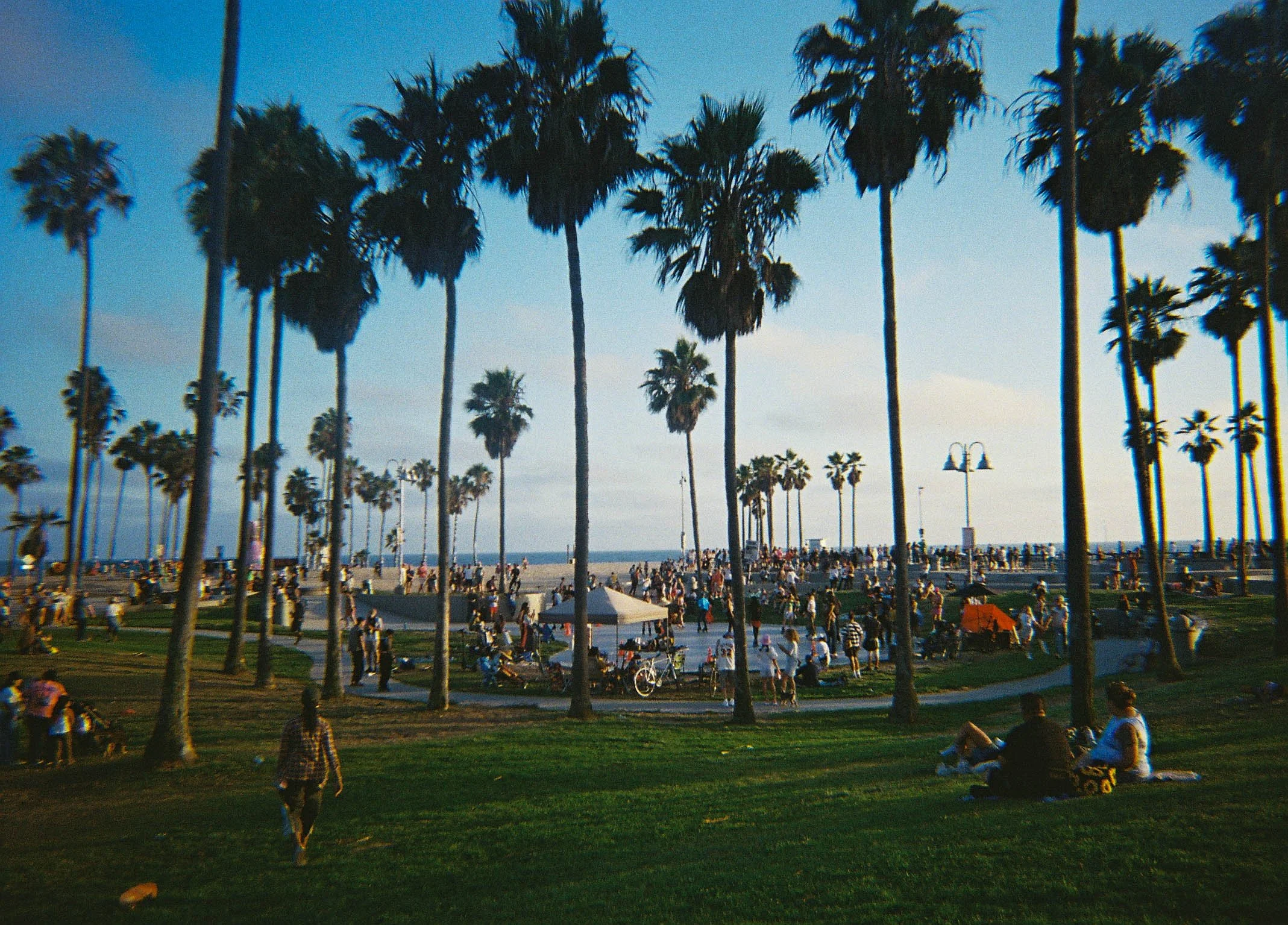 Main Venice edited_ (1).jpg