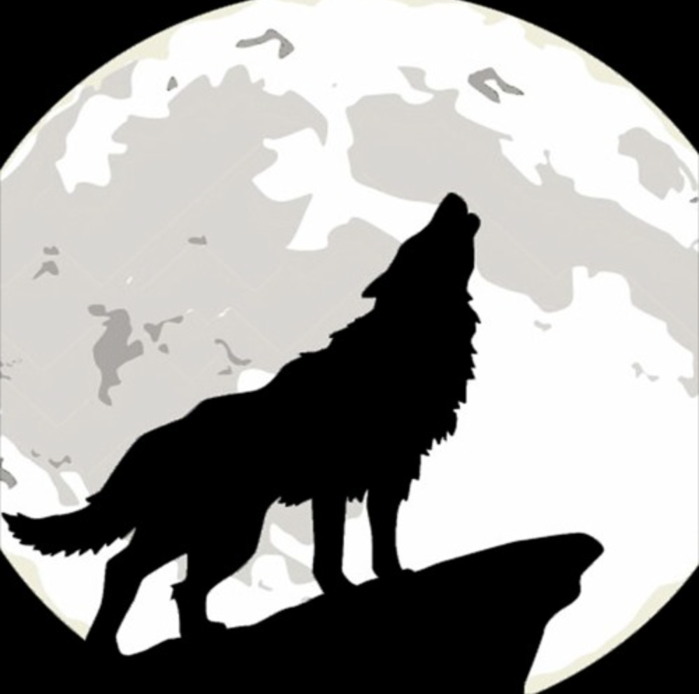 Screenshot 2024-01-13 at 9.36.08 PM.png