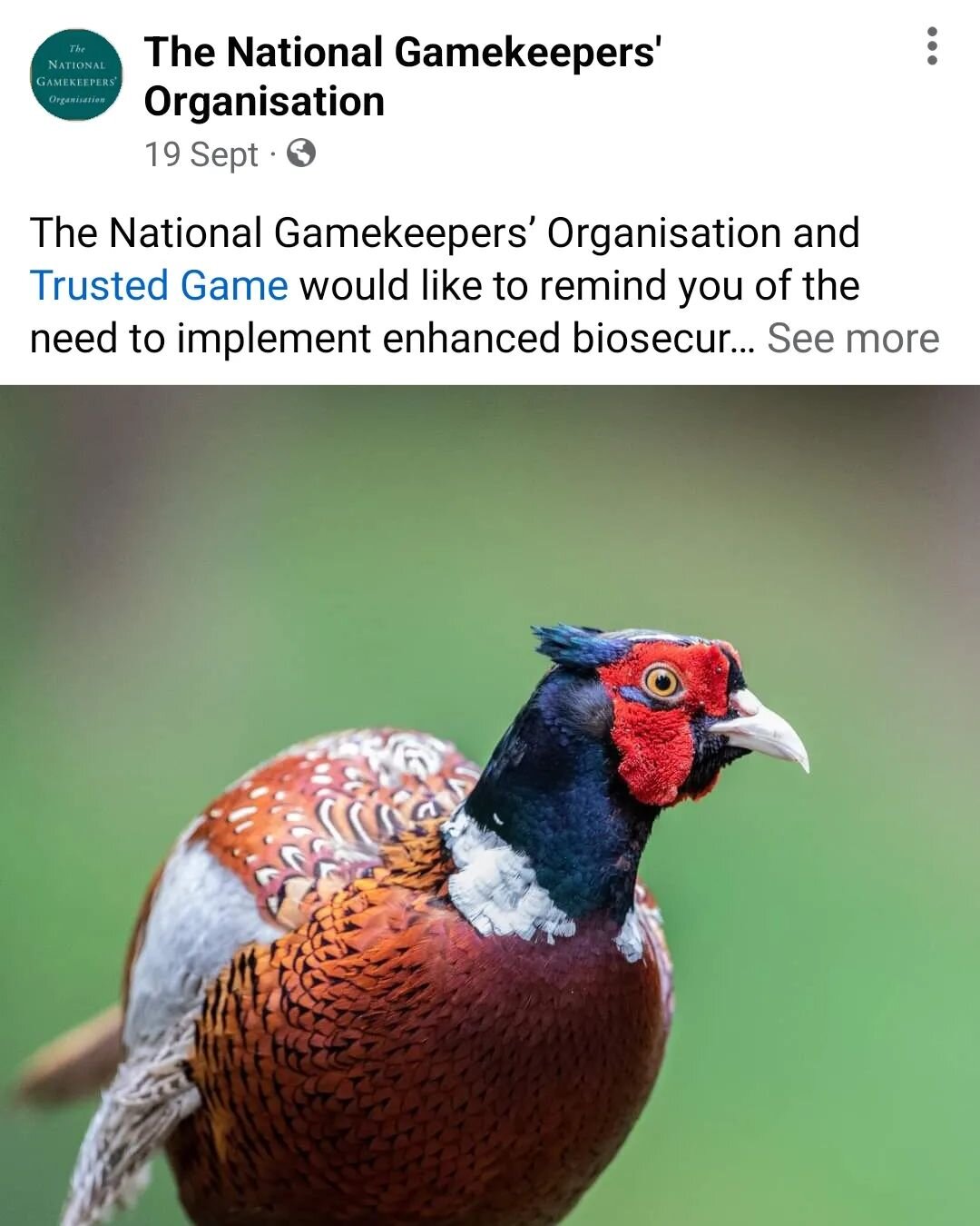 We should all be practising enhanced biosecurity and taking measures to prevent AI potentially being spread from one shoot to another by the movement of people. See @the_ngo_gamekeepers article for more details.