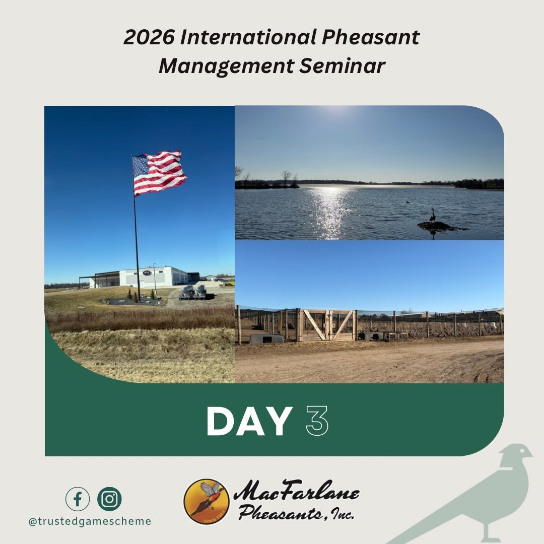 MacFarlane conference Day 3 🇺🇸🐣 

The final day concentrated on business and production efficiency, before Bill MacFarlane shared his experience of how he has fostered innovation through collaboration over the years in the industry, which was huge
