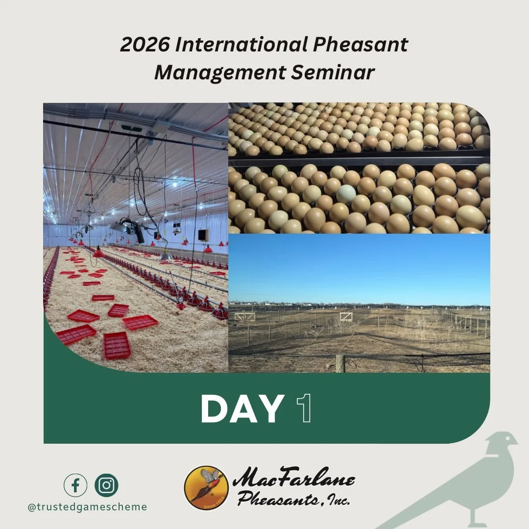 Trusted Game Directors Dan and Kenny attended the 2026 International Pheasant Management Seminar in Wisconsin earlier in the year 🇺🇸 

Day 1 started with a tour of @macfarlanepheasantfarm , where we were lucky to see their production set up, includ
