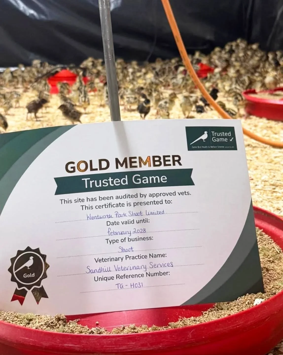 It's great to see so many sites not only passing the basic (legal) TG standards but passing with flying colours and achieving a GOLD pass!! 🥇Well done @wentworthparkshoot @flintoftchris @marsdensgamefeeds @sandhillgamevets 
.
.
.
.
.
.
.
.
.
.
.
.
.