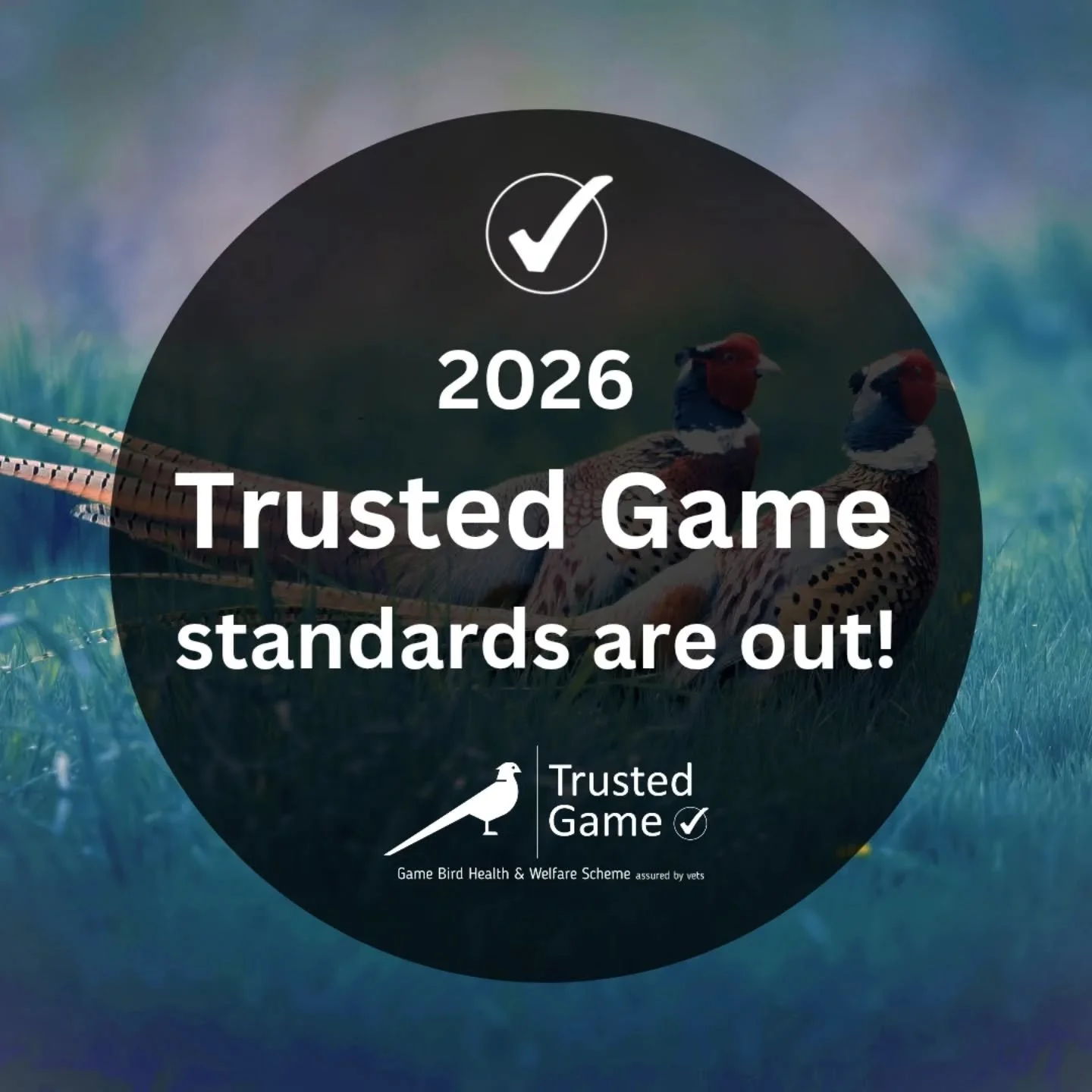 Our updated 2026 standards are out and vets are busy auditing sites across the UK! 
Stay tuned for updates on how the new GOLD / SILVER / BRONZE tiered audit works.
Speak to YOUR VET for more information and to book your audit.
.
.
.
.
.
.
.
#gamekee