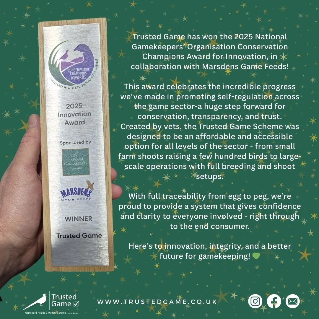 📣 Did you know that Trusted Game has recently been honoured with an award? 🏆

You can read more about it here 👇

Interested in finding out more or getting involved? Feel free to send us a message or visit our website.