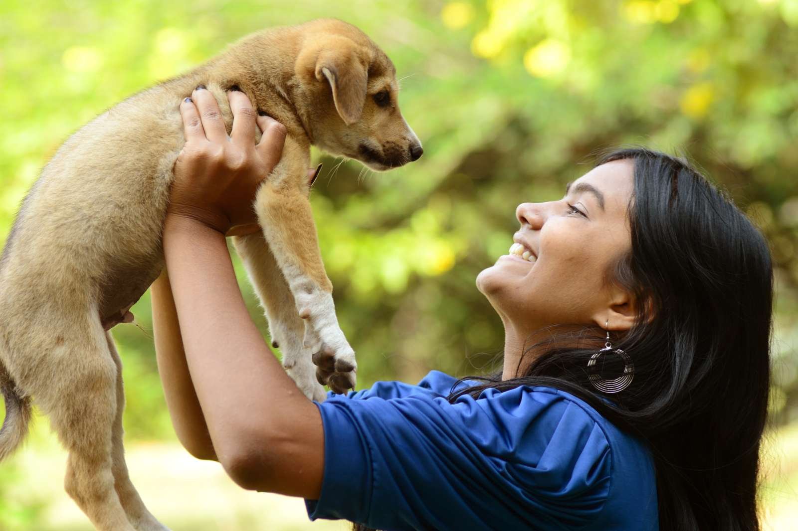 Explainer-How-To-Adopt-Dog.jpg