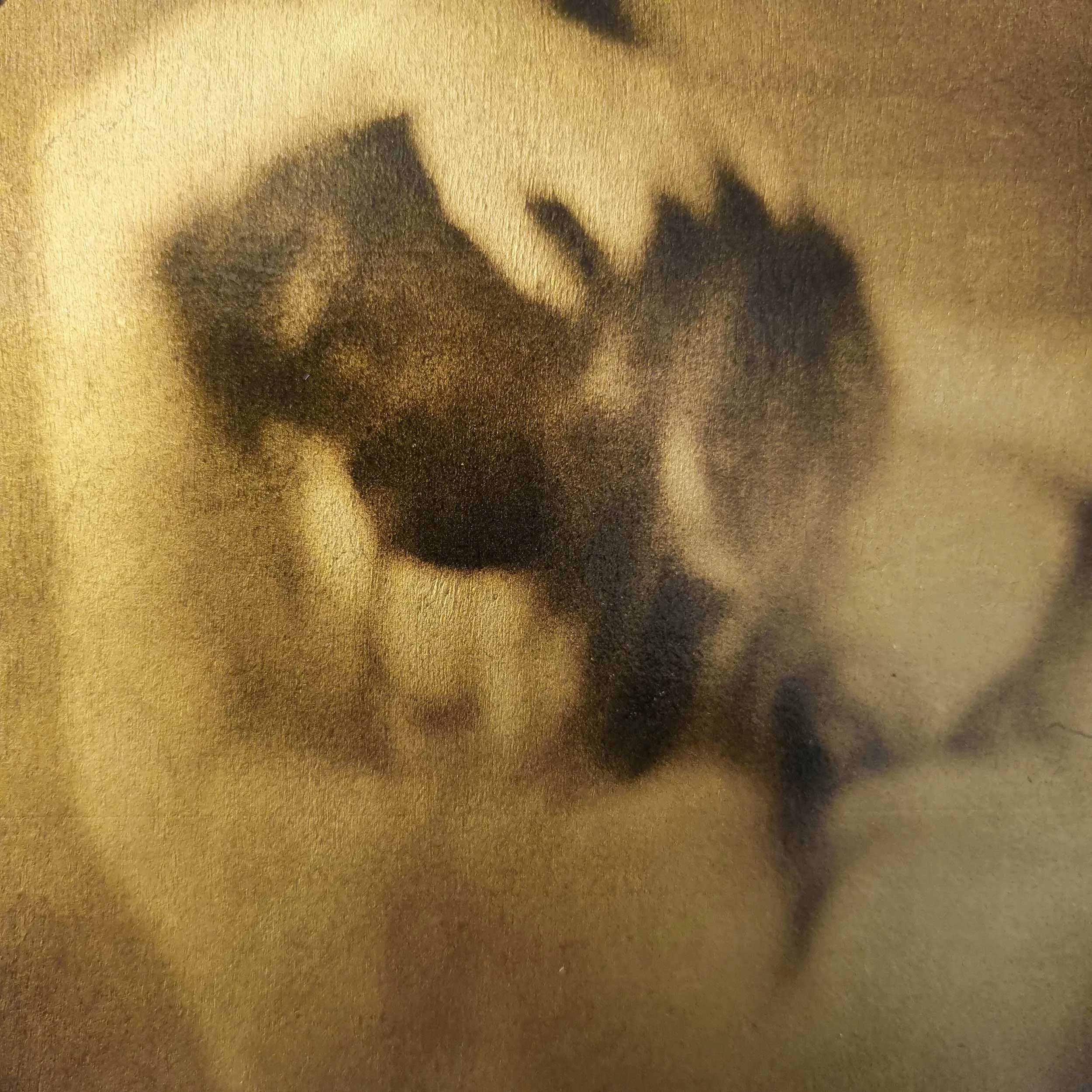 2017_corinne-heraud_Corpus04_20x20_detail1.jpg