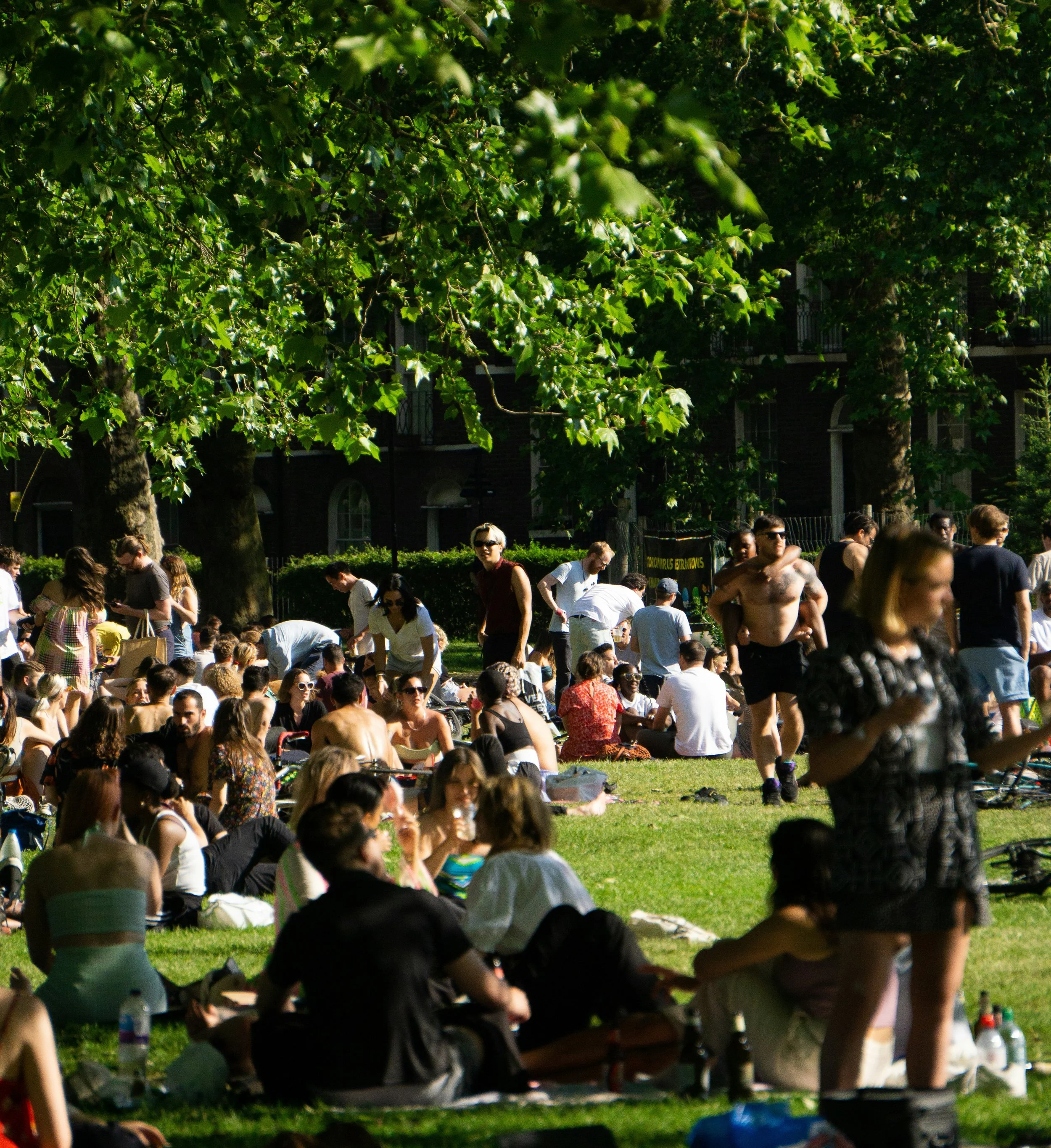 New climate research project with C40 Cities and the Greater London Authority (GLA)