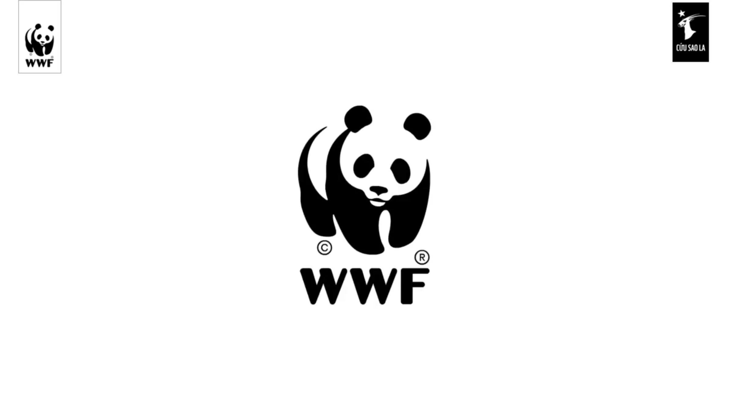 WWF Save Asian Unicorns Index.jpg