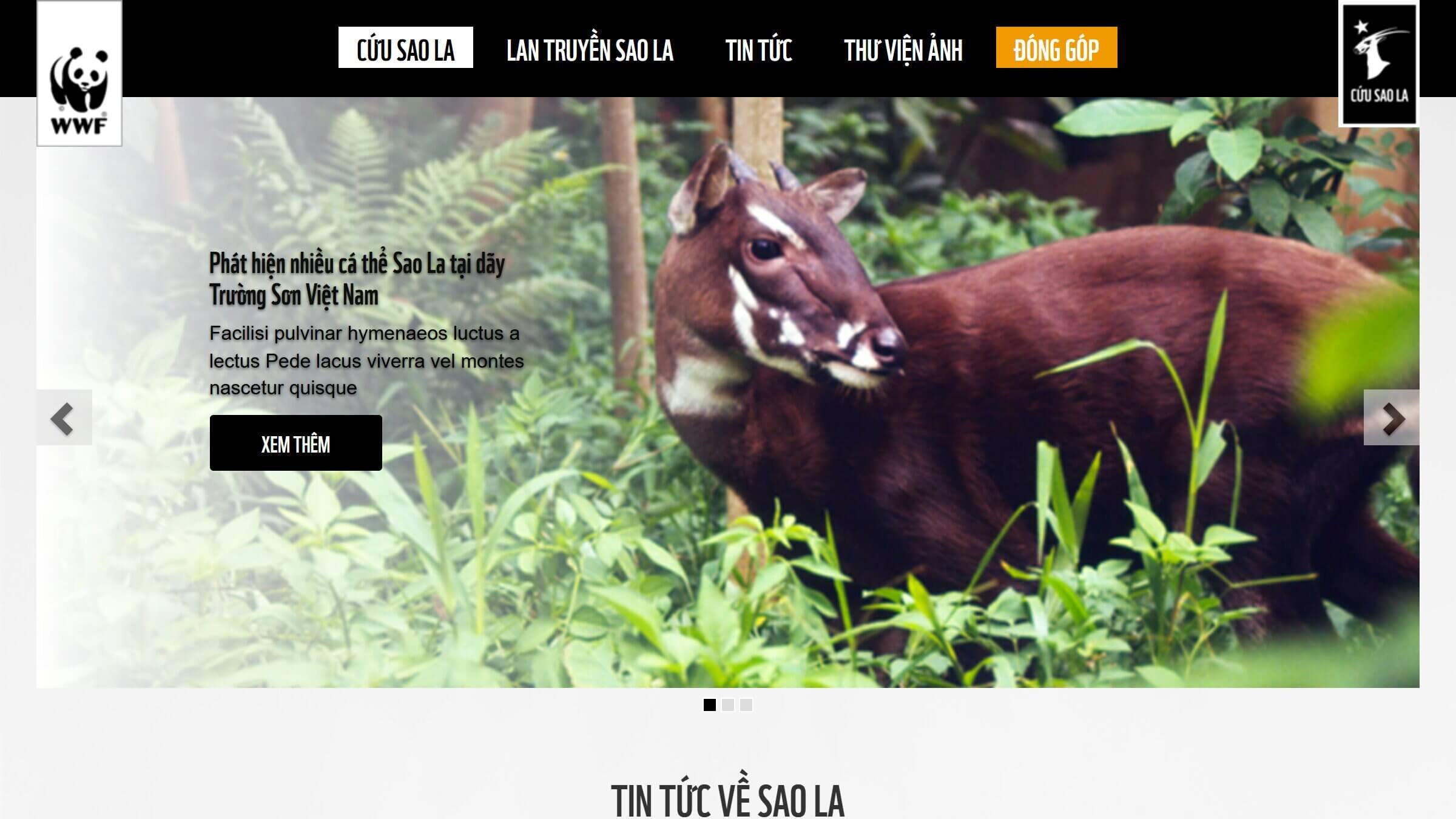 WWF Save Asian Unicorns Banner.jpg