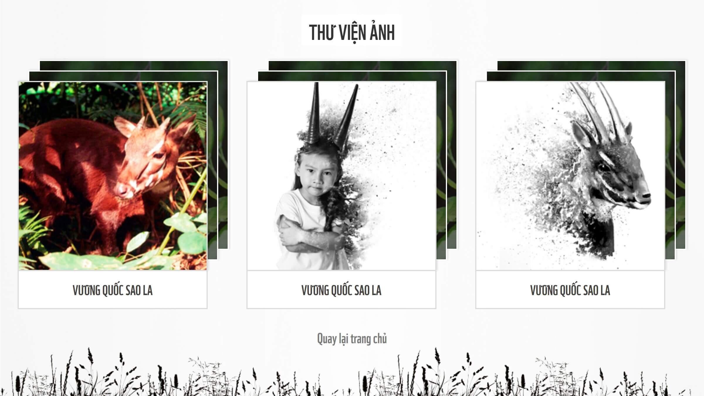 WWF Save Asian Unicorns Gallery.jpg