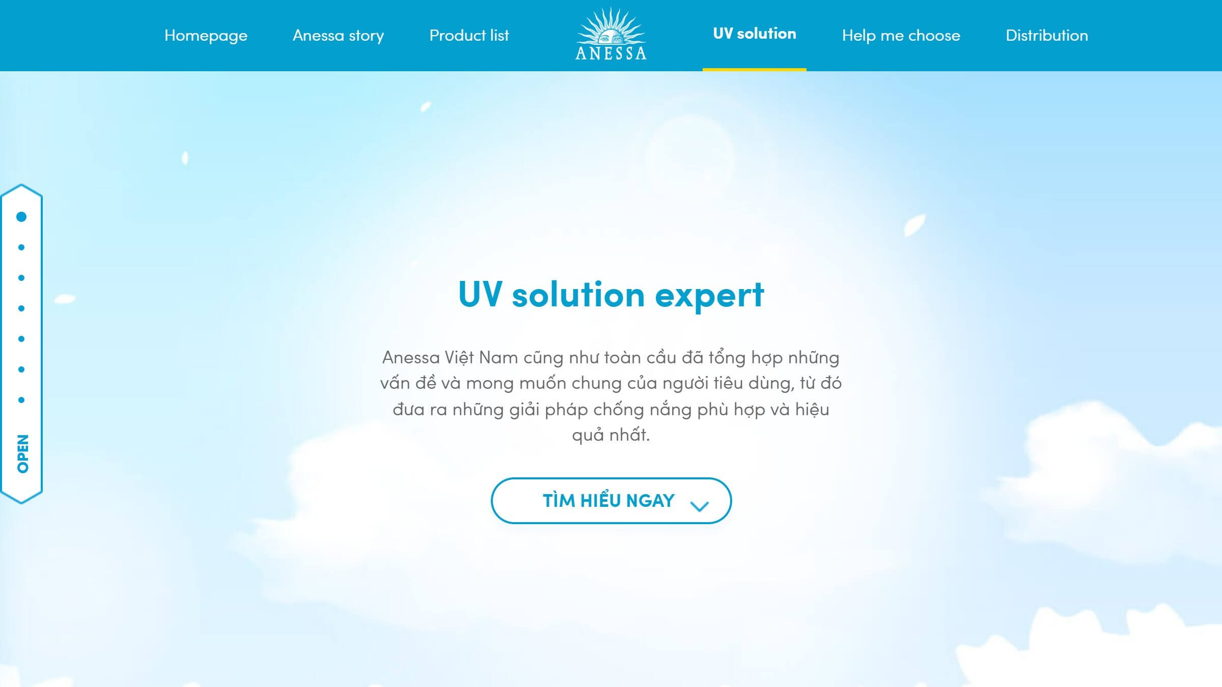 Anessa Brand Website Solution.jpg