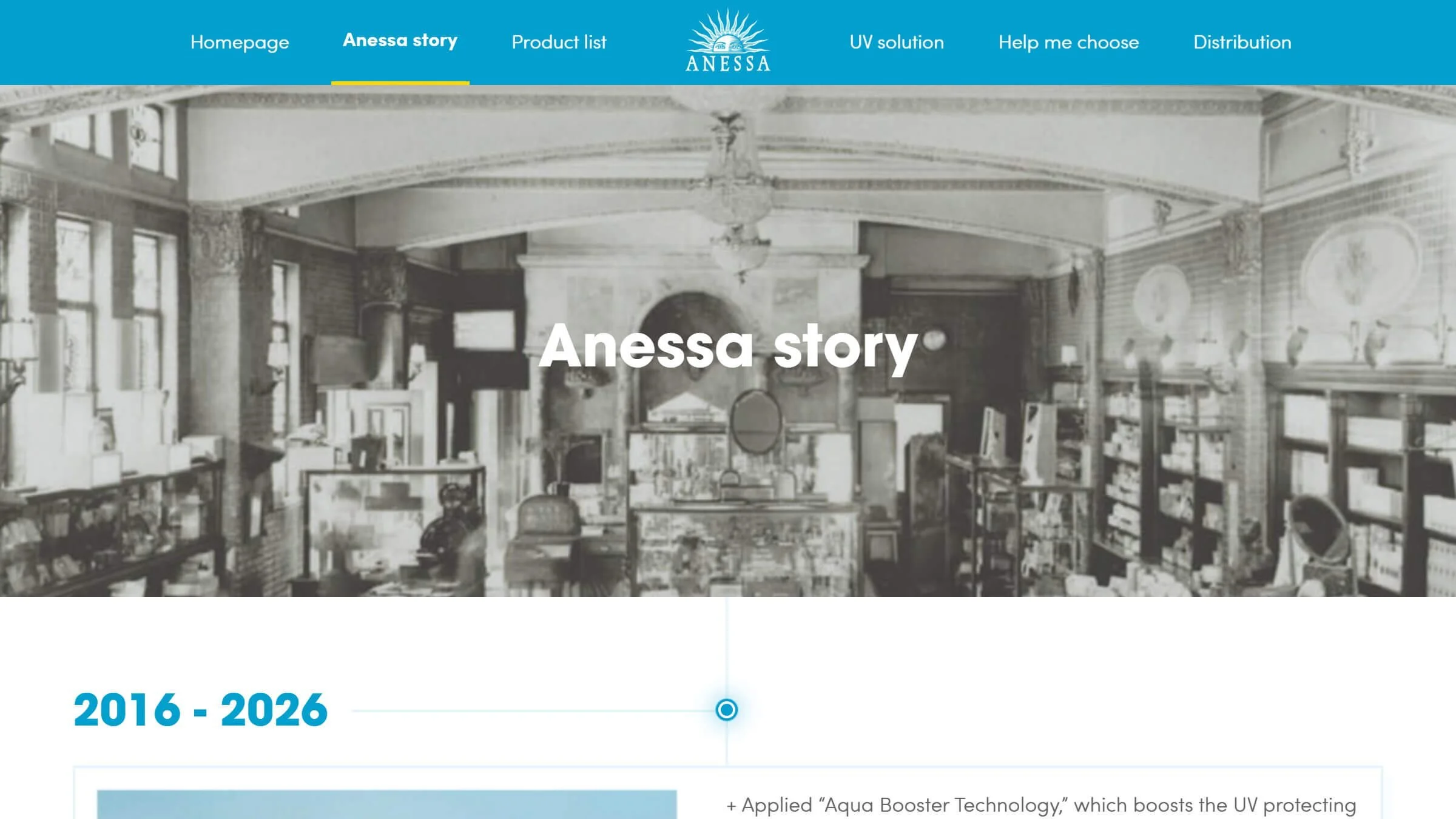 Anessa Brand Website Story.jpg