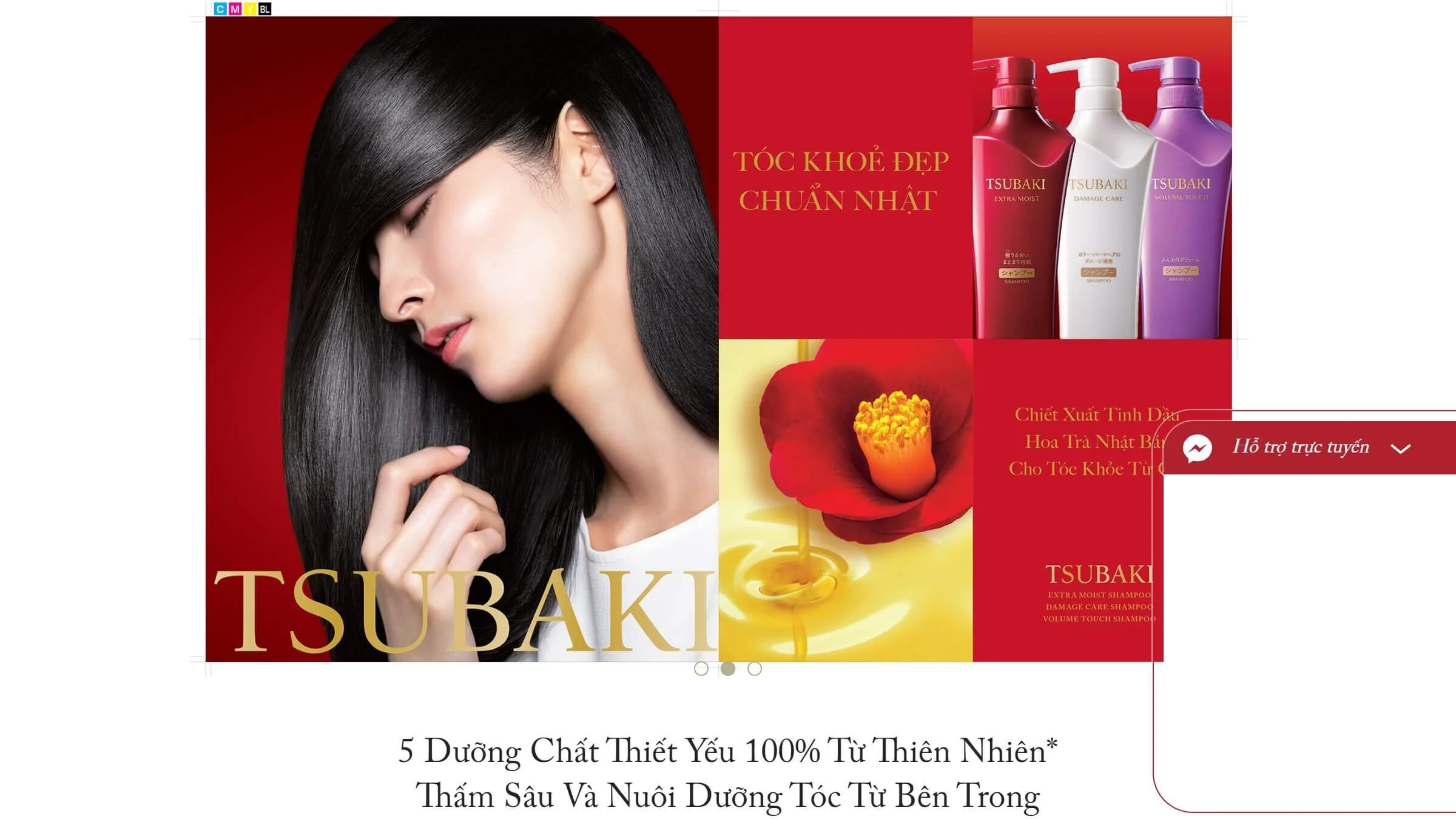 Shiseido Tsubaki Brand Website Home.jpg
