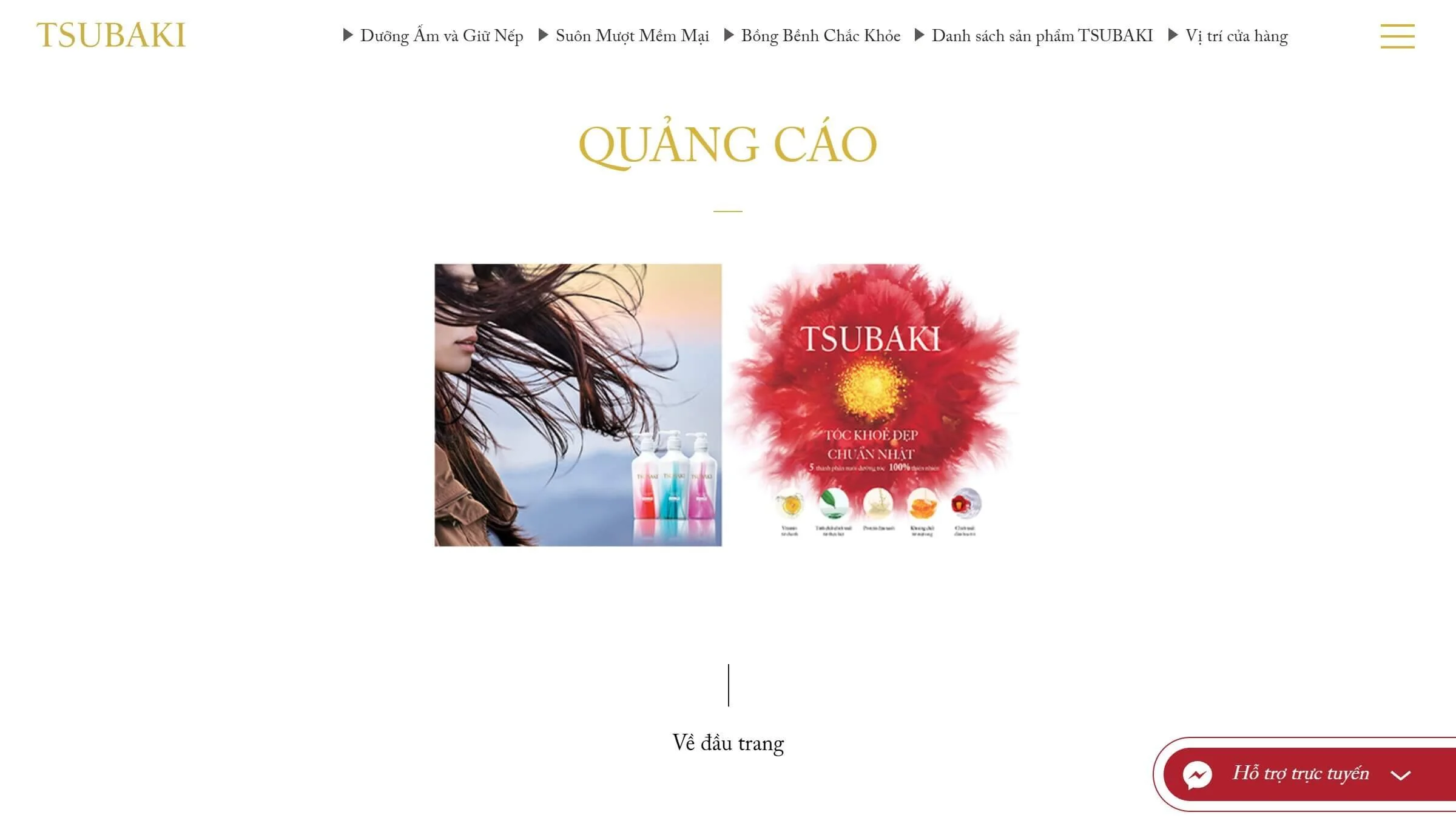 Shiseido Tsubaki Brand Website Ads.jpg