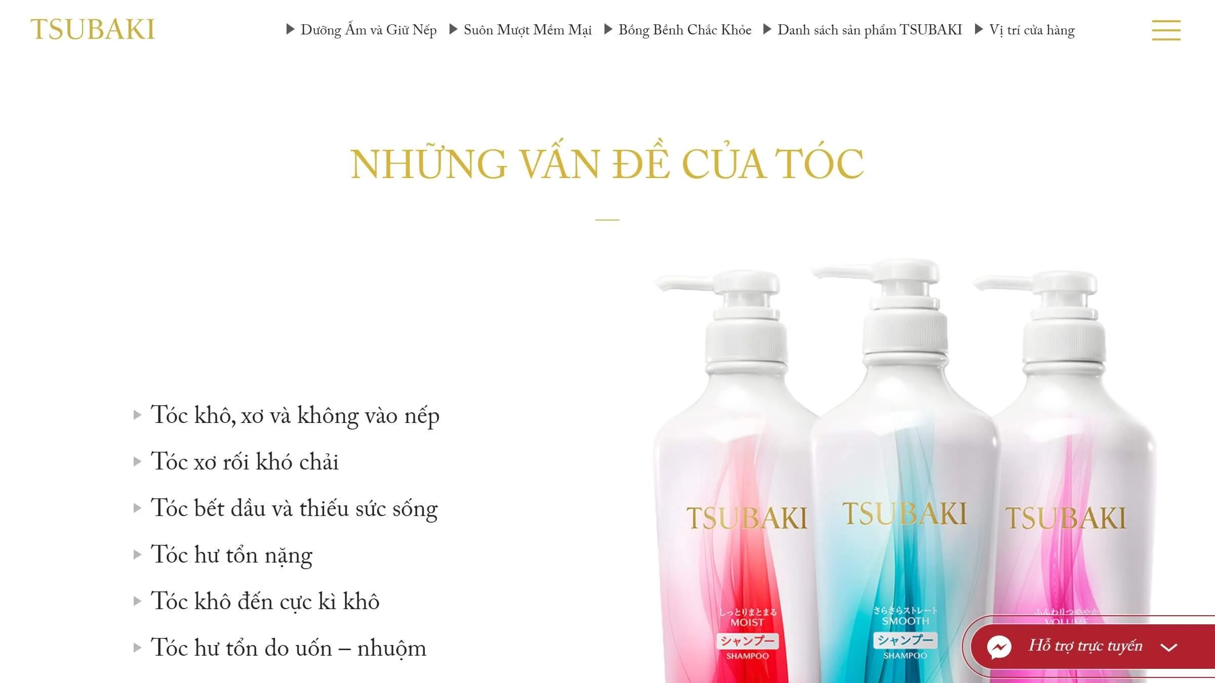 Shiseido Tsubaki Brand Website Pain.jpg