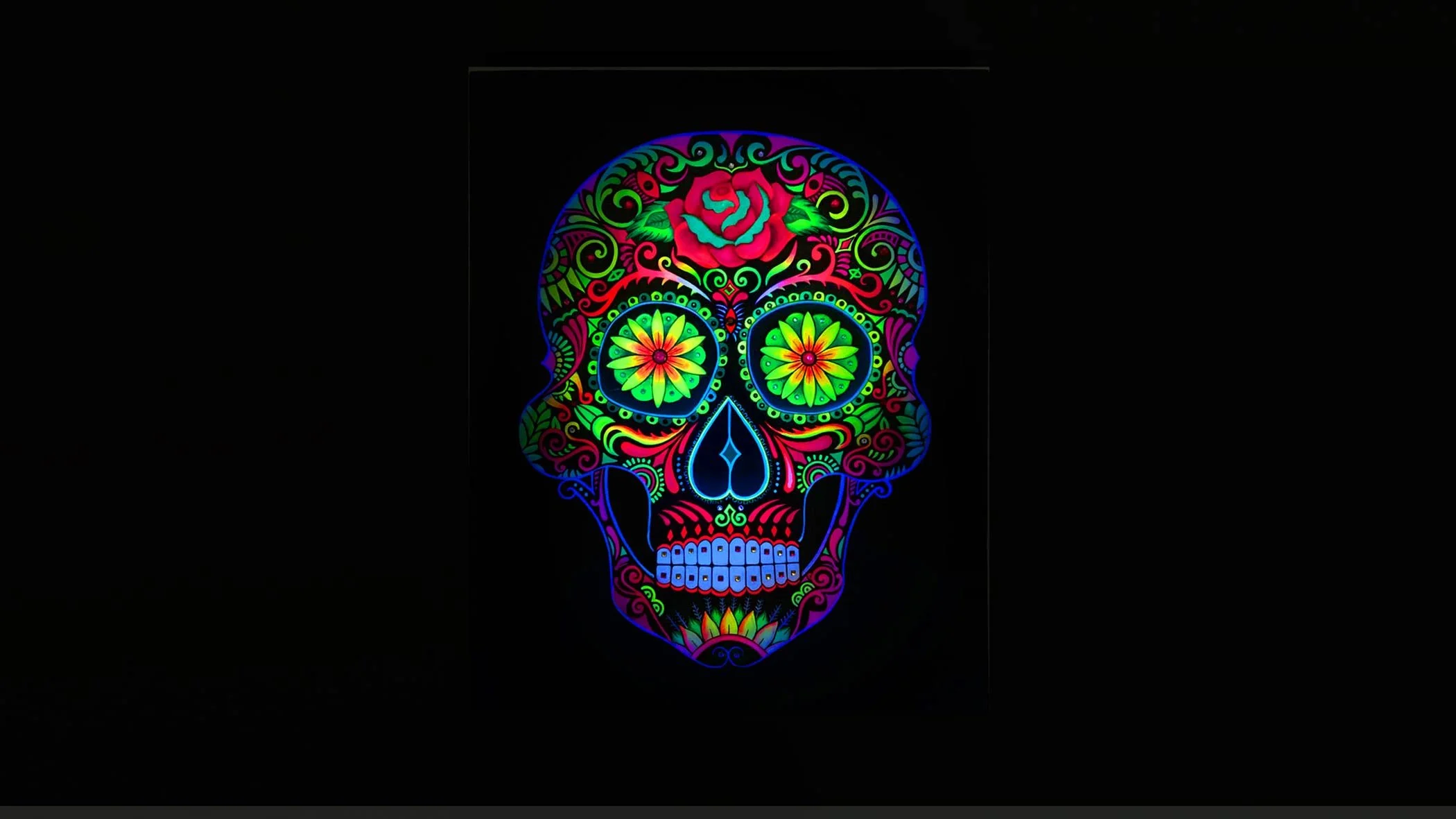 skull_1.jpg
