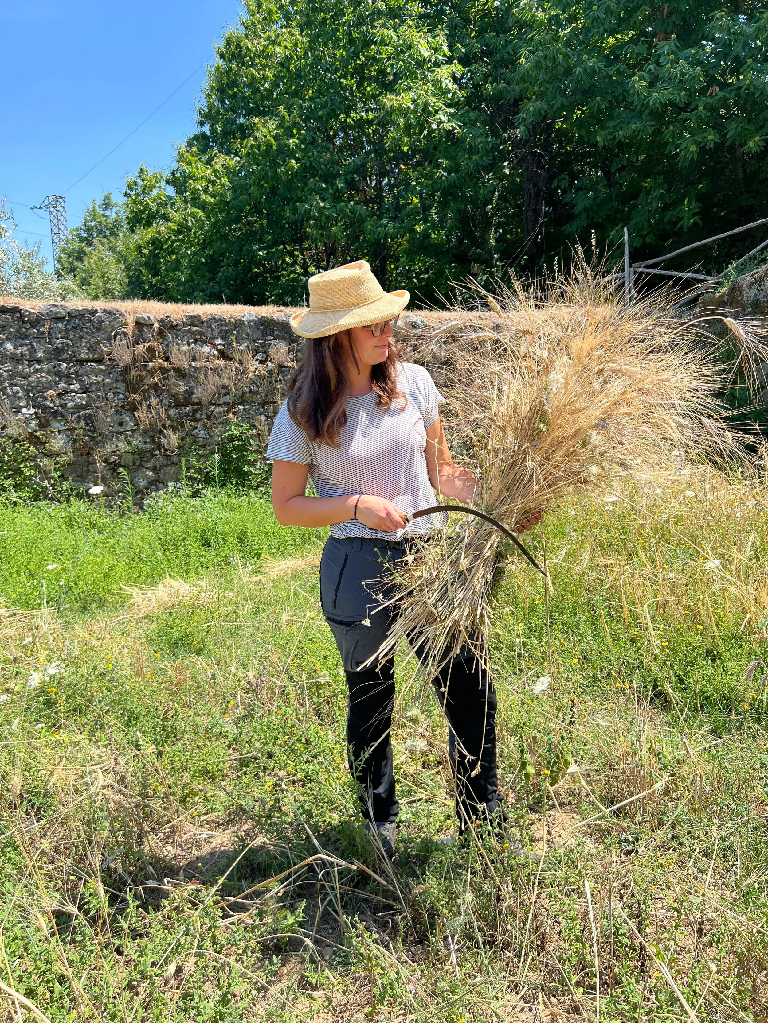 Nuove agricolture di avanguardia