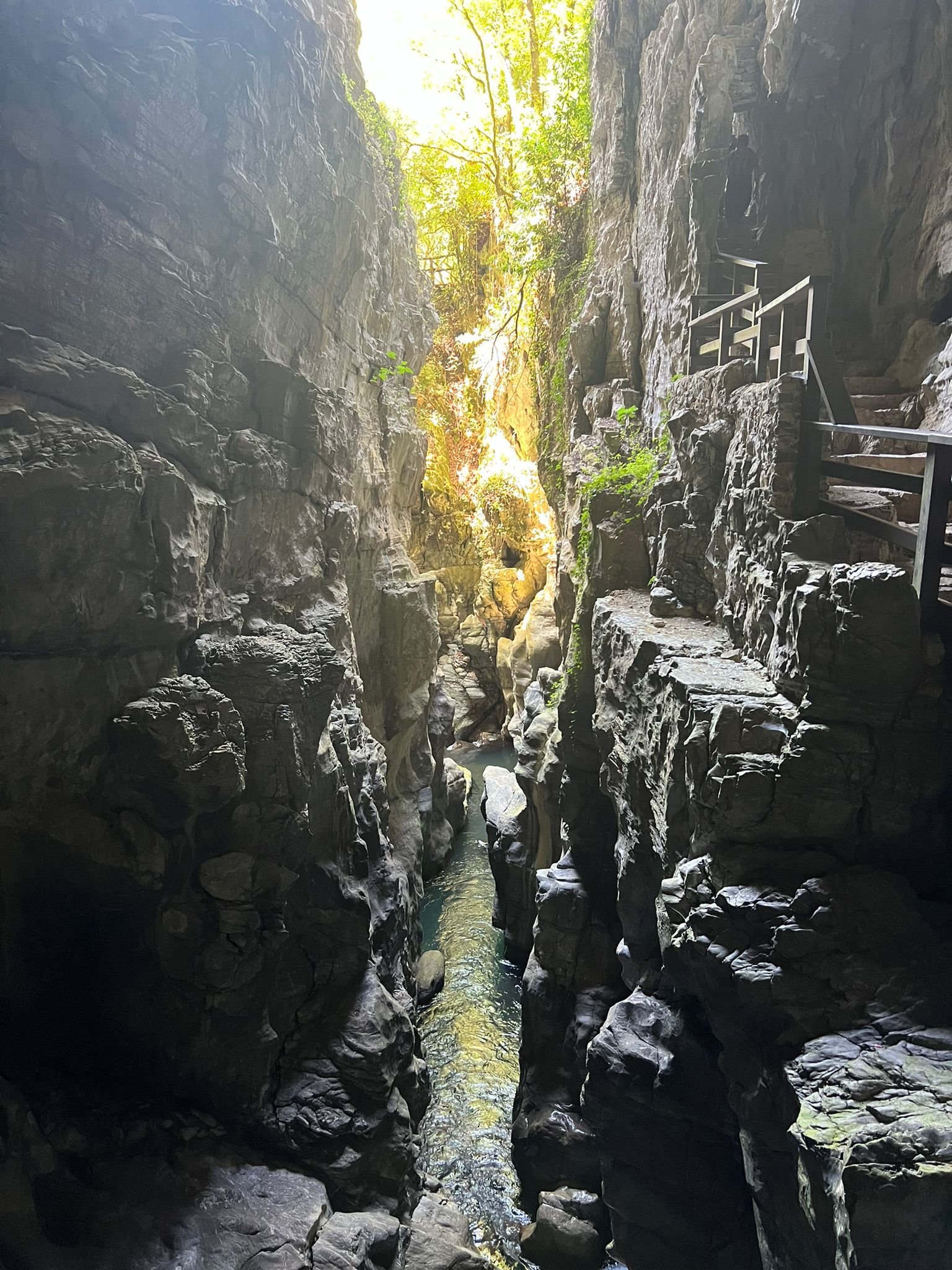 Canyon con pareti rocciose, passaggio stretto con acqua in fondo e vegetazione sulla cima, passerella in legno a destra.