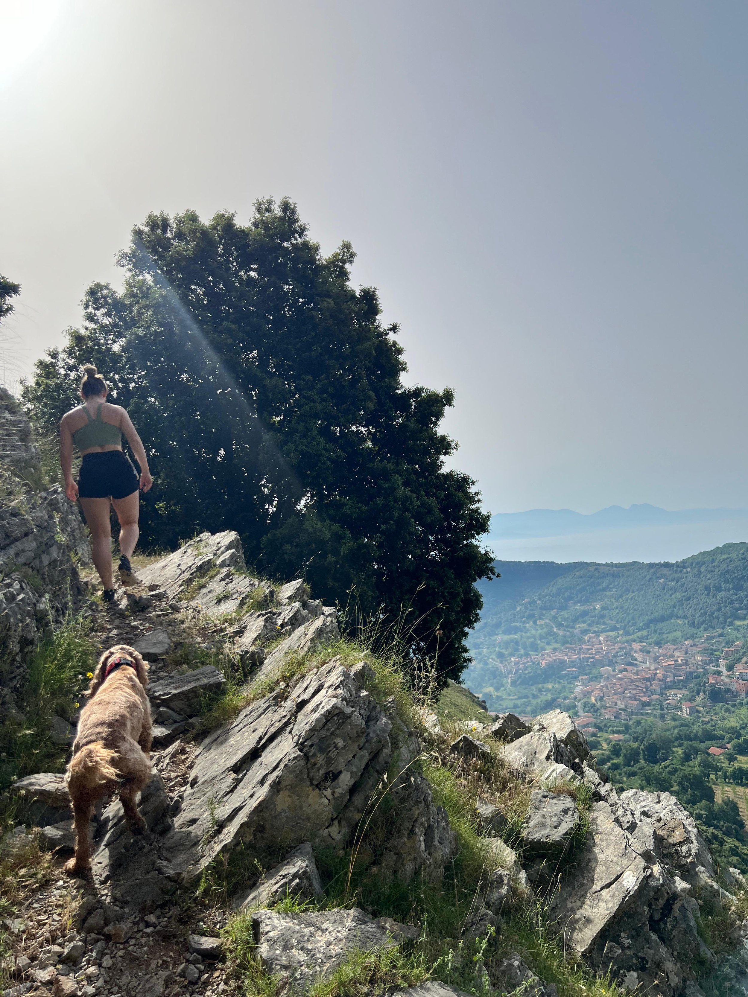 Una persona e un cane fanno escursioni su un sentiero montano, con vista su una valle e un villaggio in lontananza. La vegetazione circostante è rigogliosa e l'atmosfera è serena.