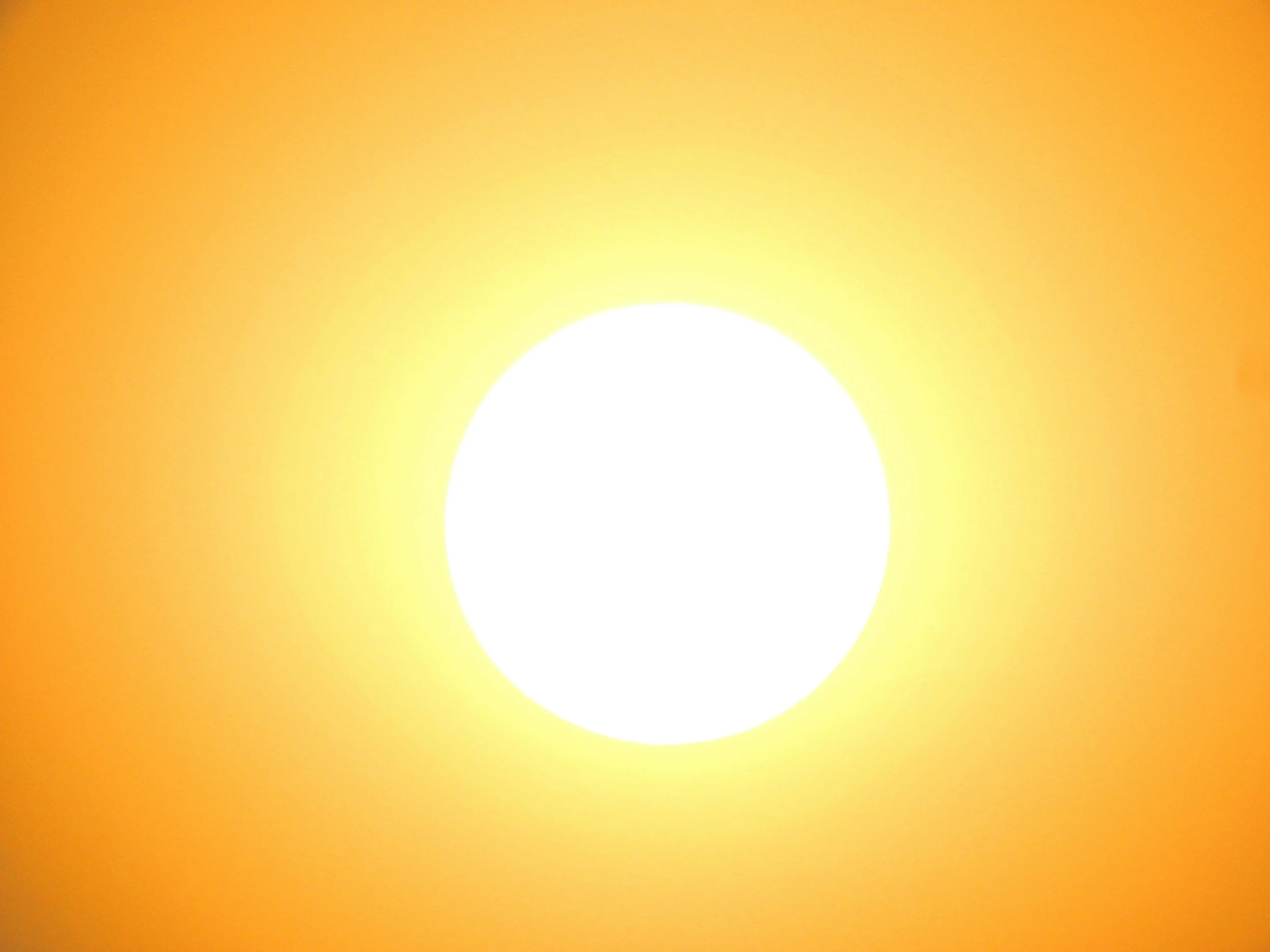 a bright yellow orange image of the sun