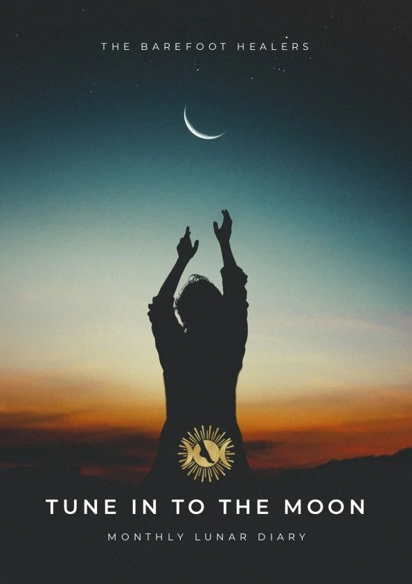 Tune in to the moon MONTHLY DIARY cover.jpg