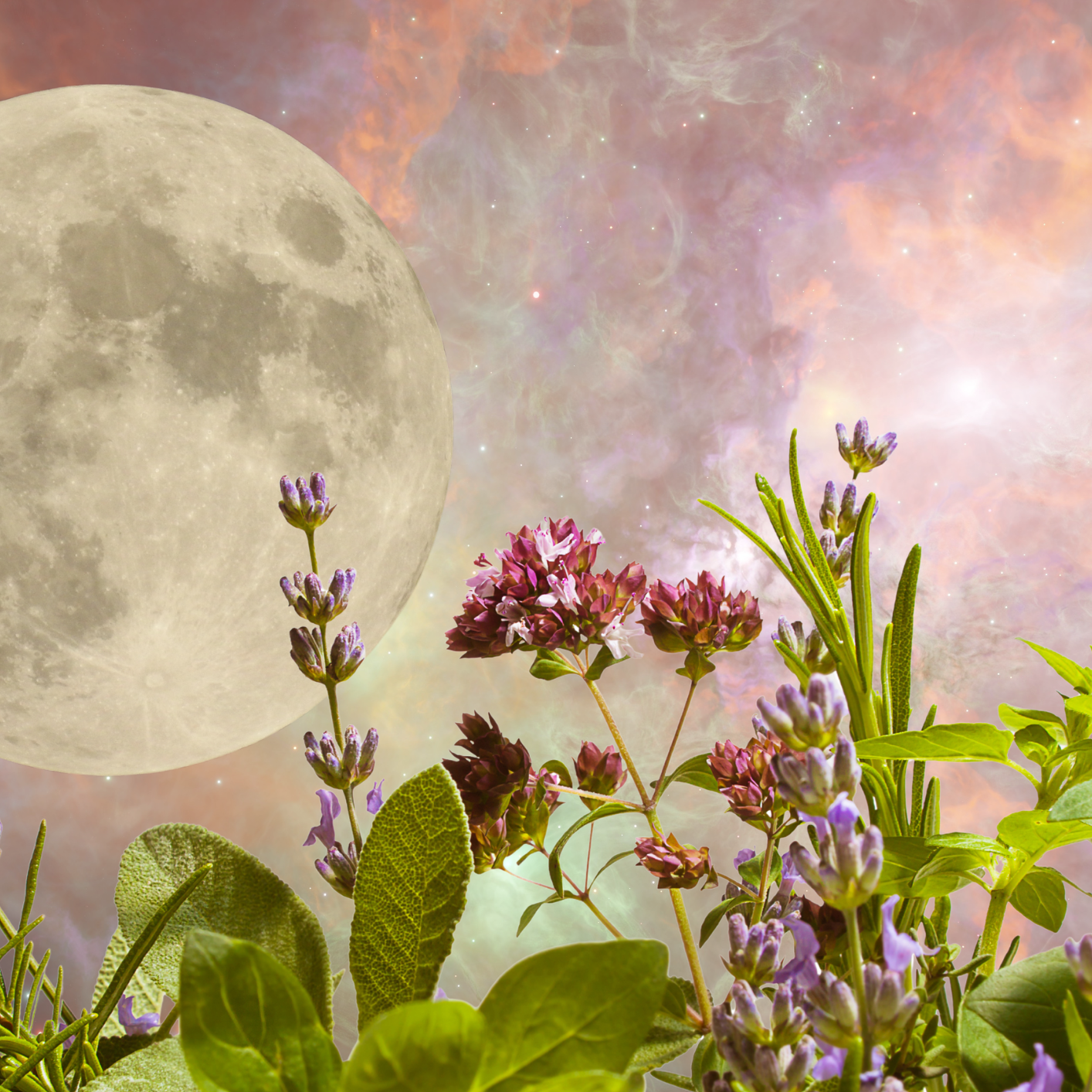 lunar herb planting calendar sq.png