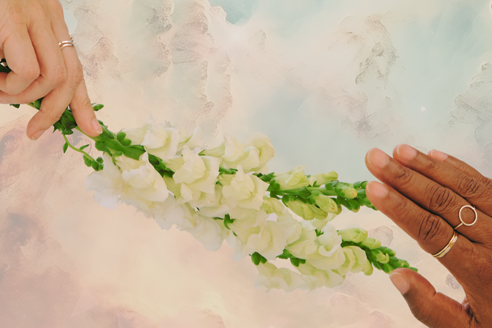 Two hands exchanging a white flower stem against a soft pastel background.