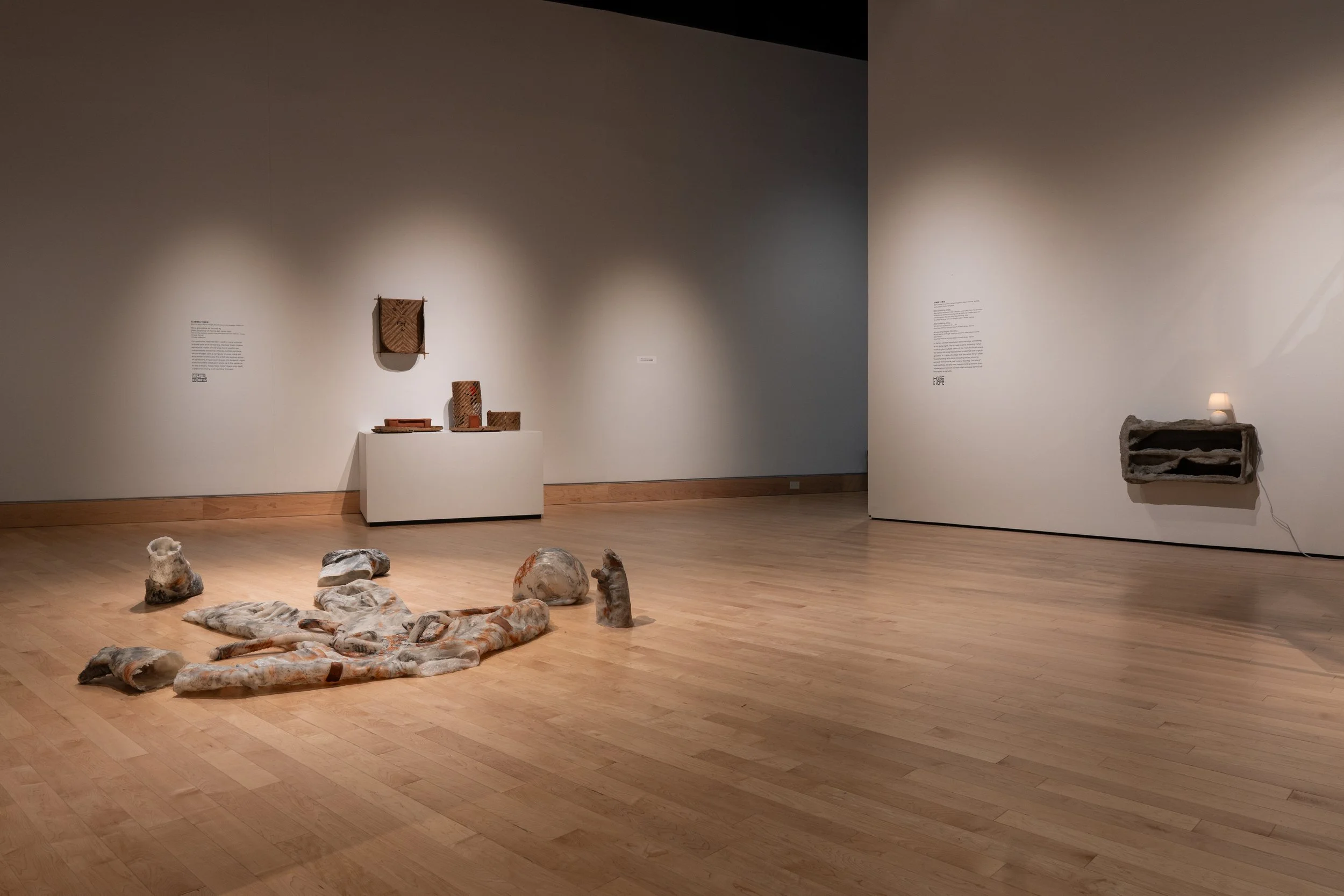 Courtesy of the Mary M. Torggler Fine Arts Center at Christopher Newport University. Photography by Matt Crim