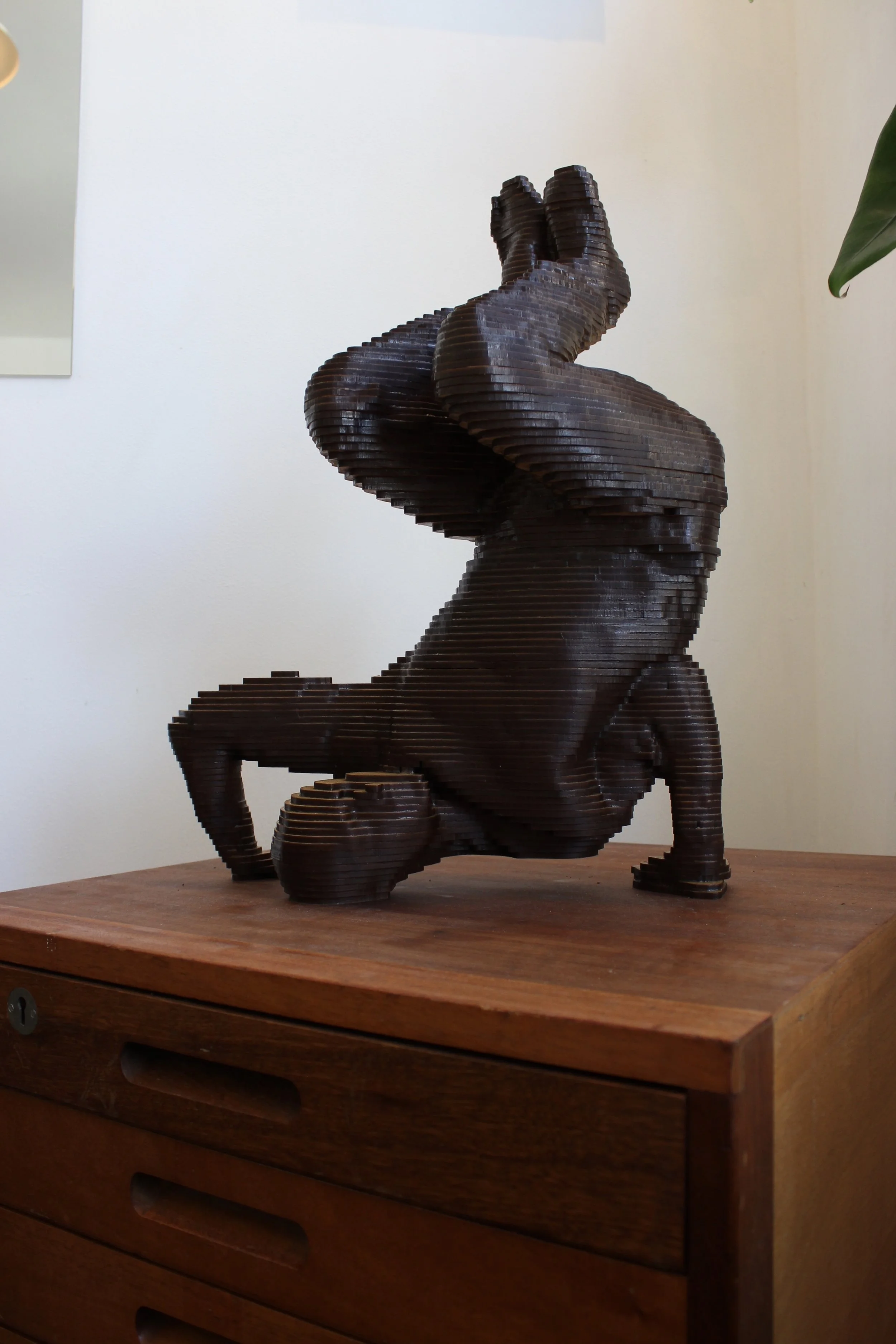 Hong10 installed with Plinch.jpg