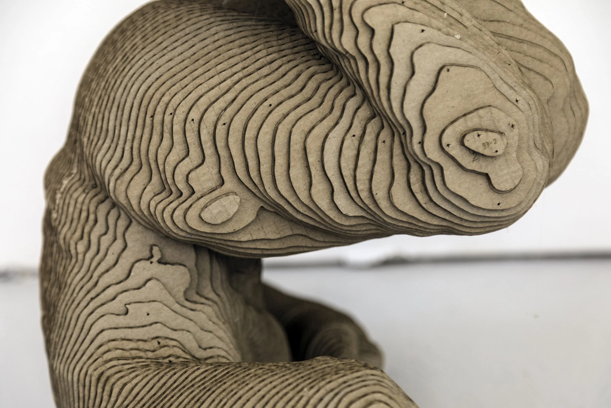 'Shoulder Freeze' (2017), Cardboard. 33(H)x28(W)x29(D)cm. Private Collection.