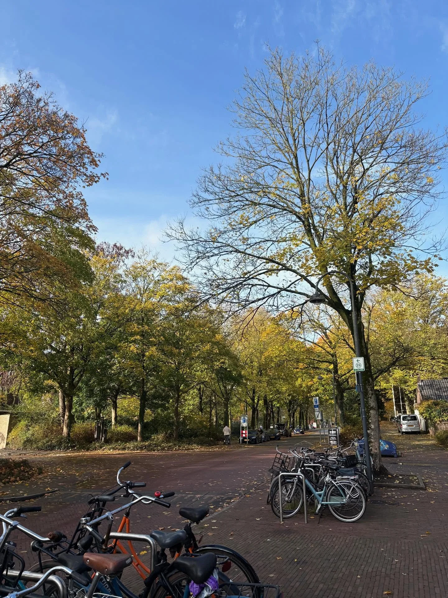 Eating our way through the Netherlands 🇳🇱

Harwich - Hook of Holland - Rotterdam - Gouda - Utrecht - Wageningan (&amp; back again)