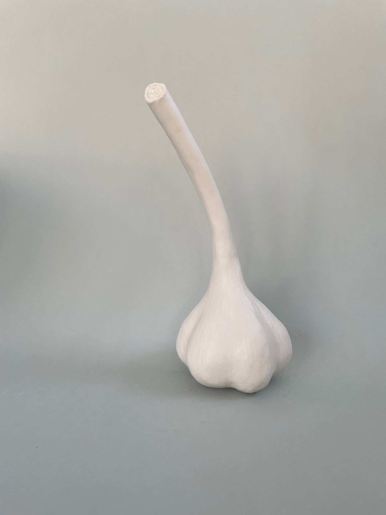  Garlic VI   
Edition - unique
20 x 8 x 8 cm