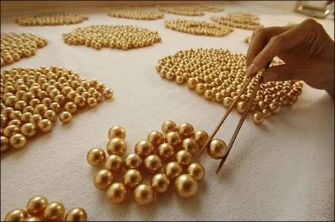 perles-australie-24.jpg