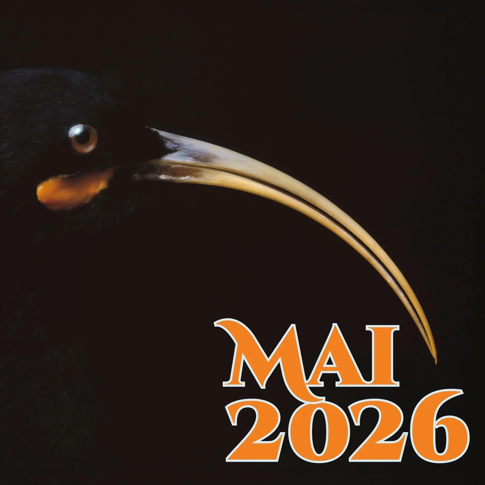 “Guide du que faire en mai 2026 ?” spécial Pacifique