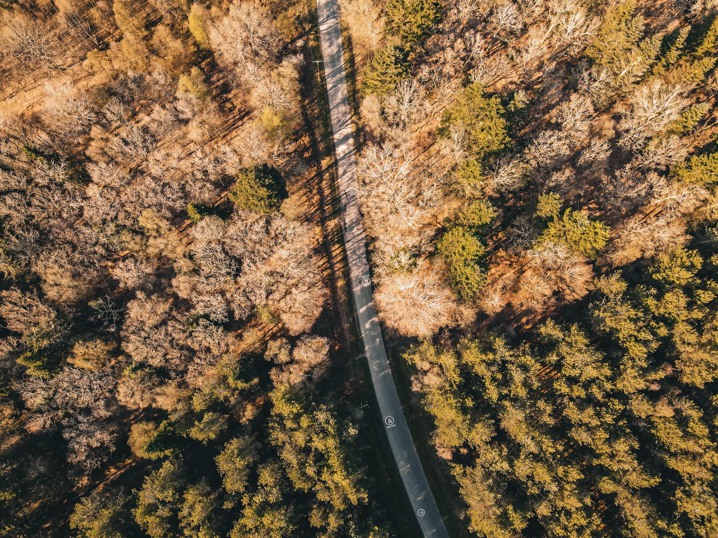 dji_fly_20230415_165336_307_1681574051517_photo.jpg