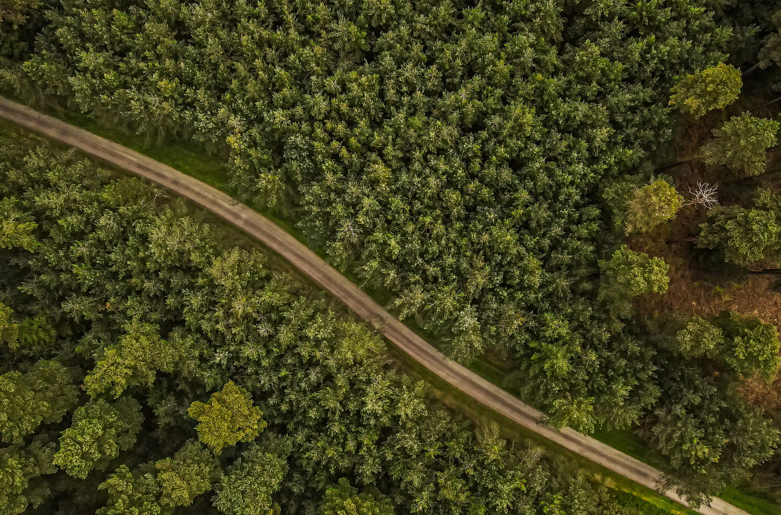 dji_fly_20230515_132826_389_1684153740236_photo.jpg