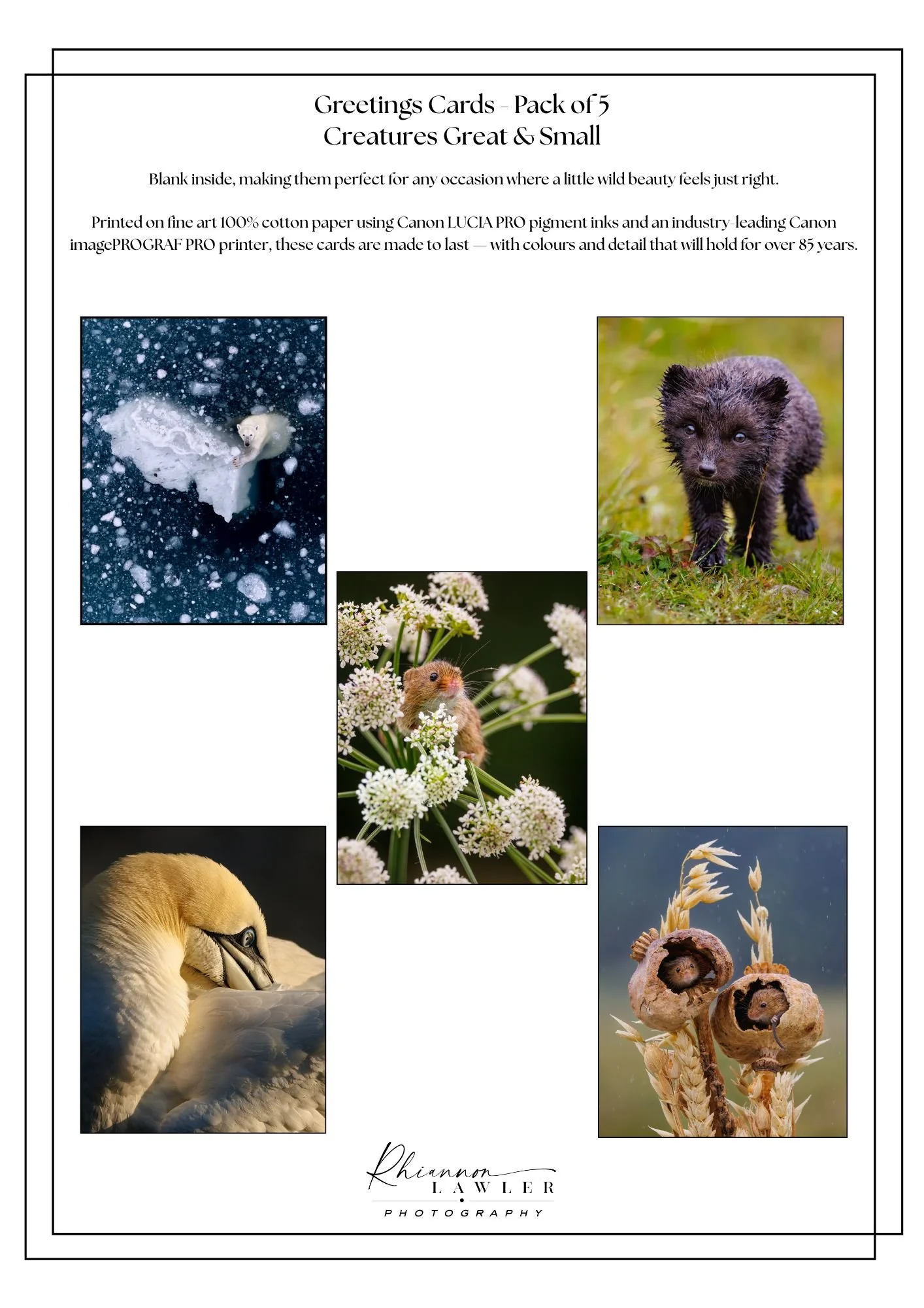 A4 Greetings Cards.jpg