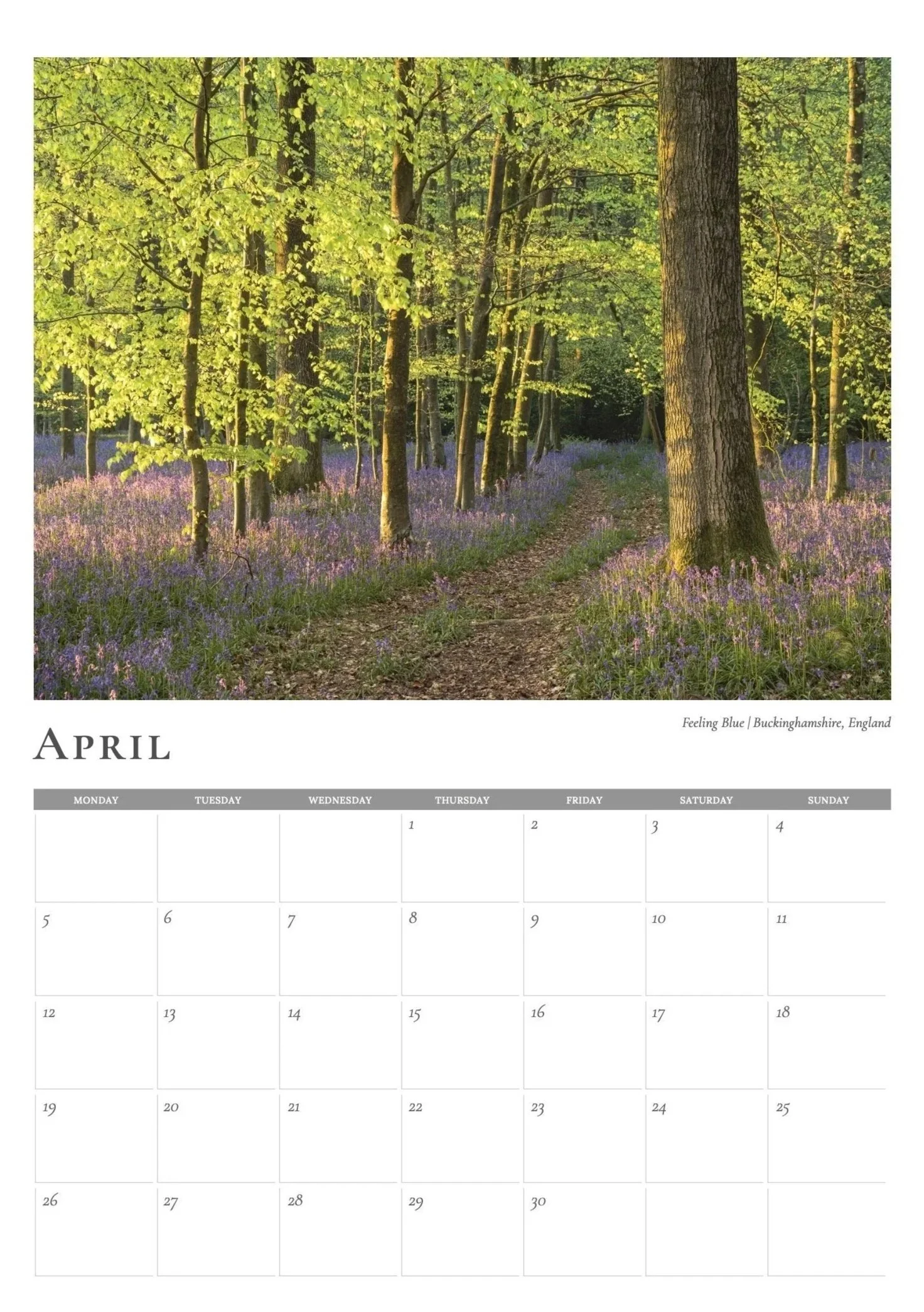 Bluebells-%2BApril.jpg